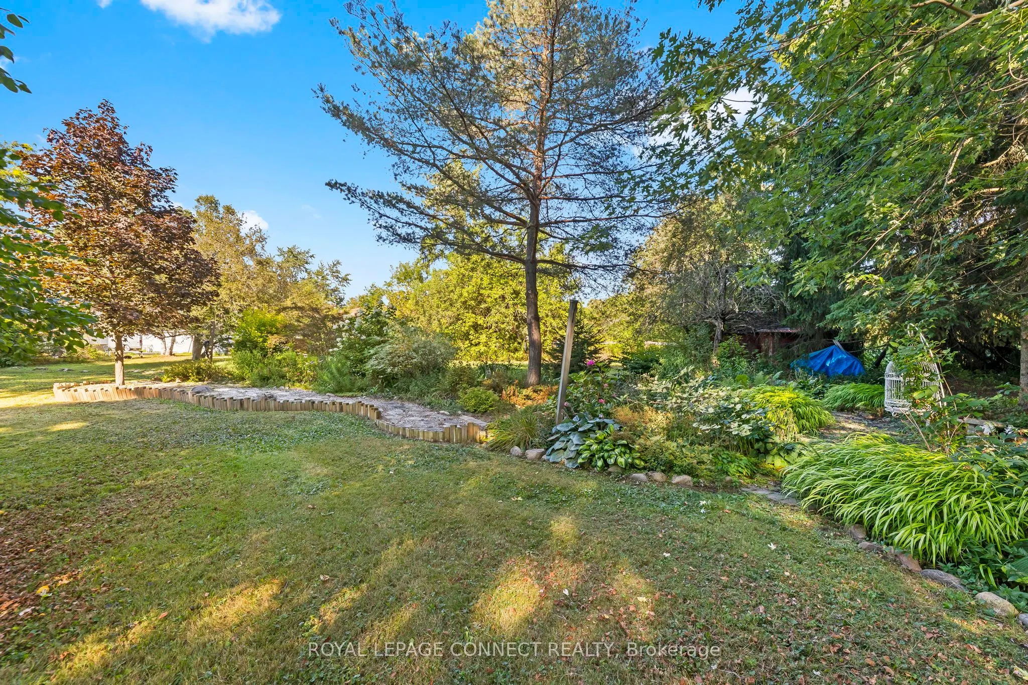 35 Lawson Road