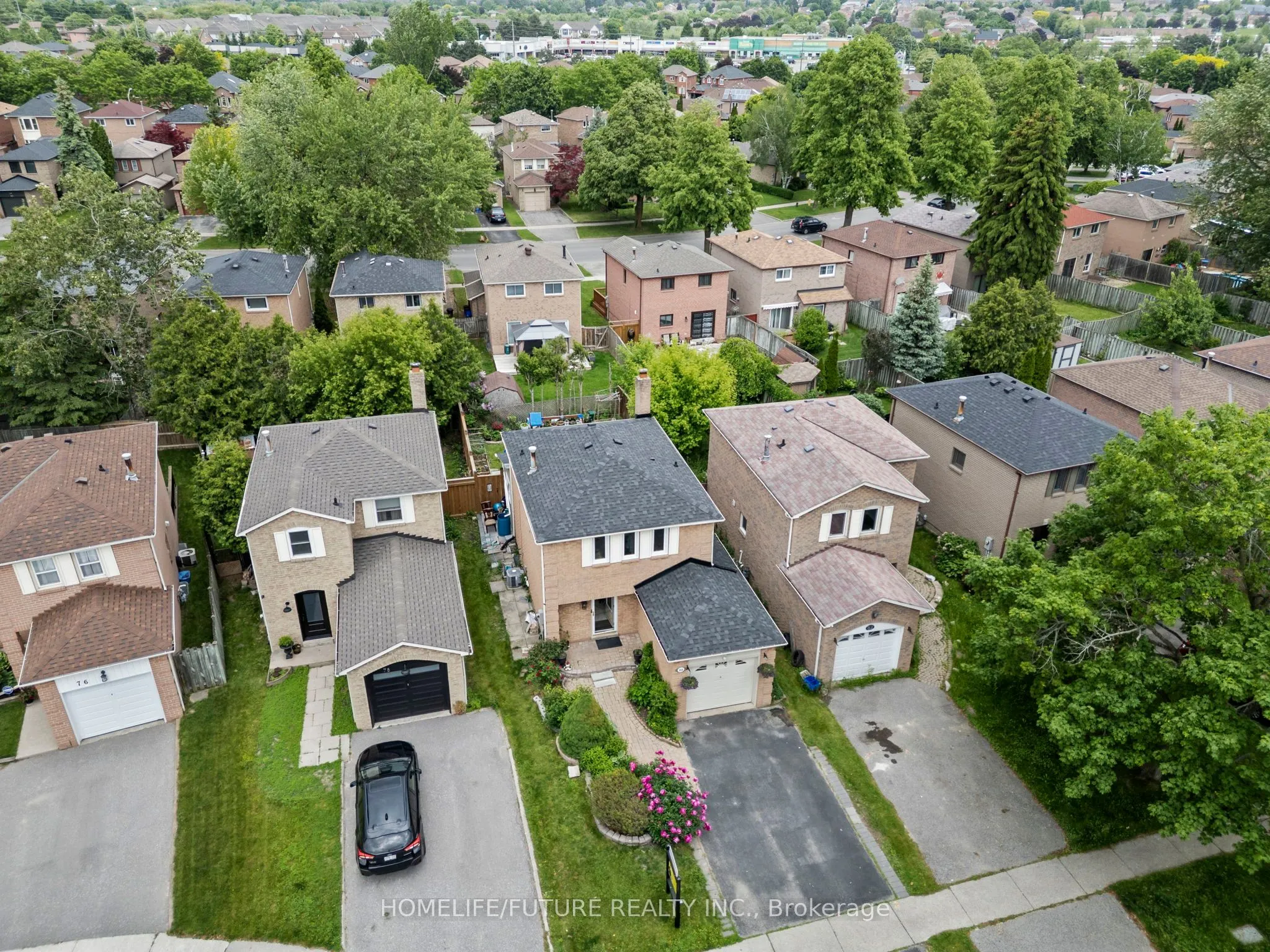 80 Chatfield Drive