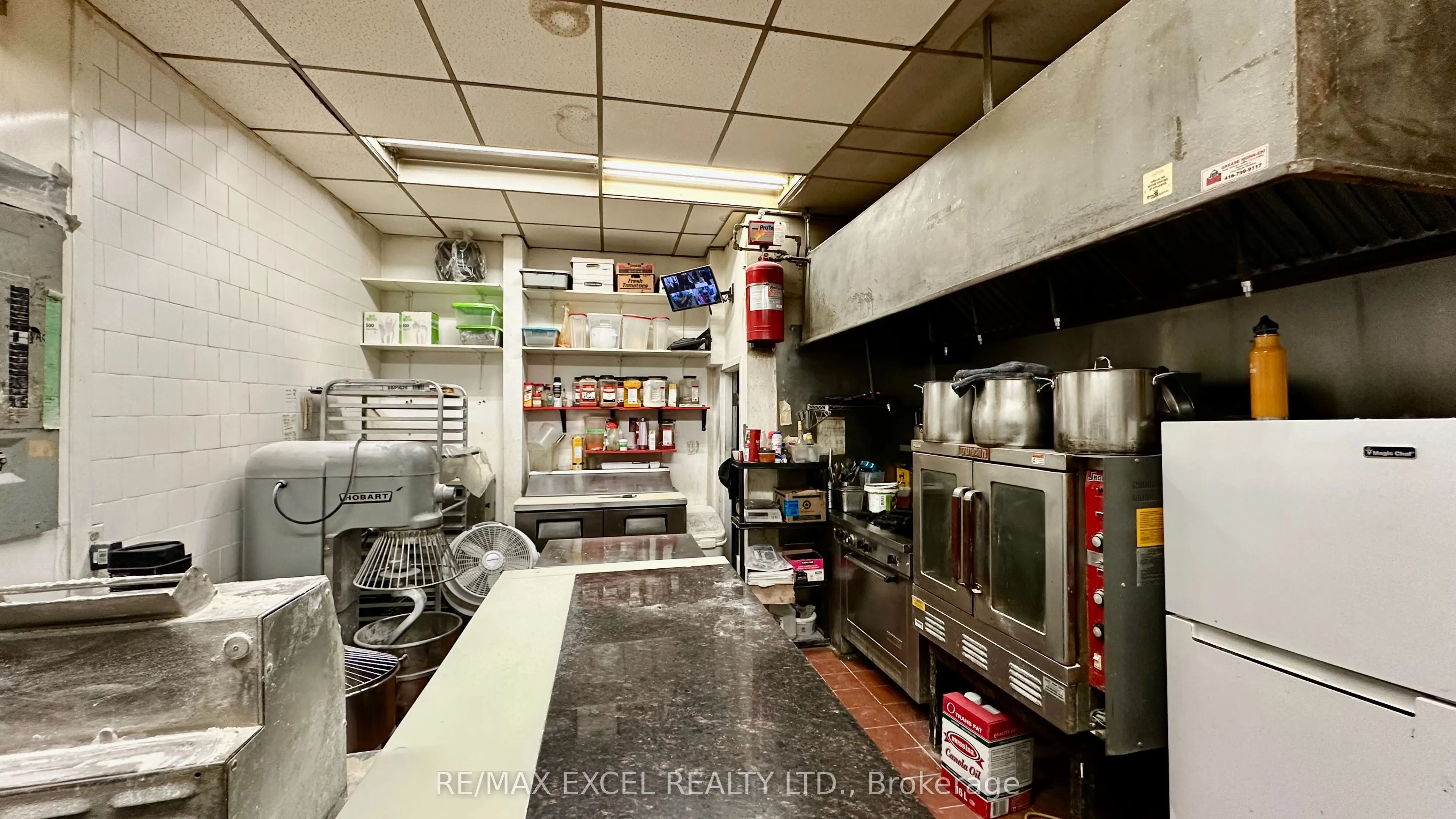 209 Ellesmere Road, #6