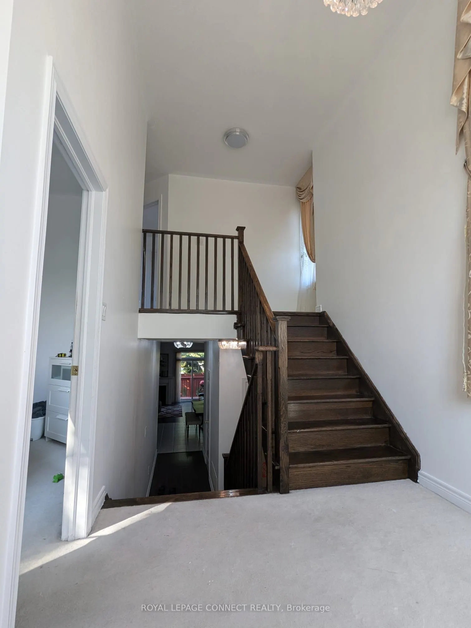 1 Lily Cup Avenue, #Main