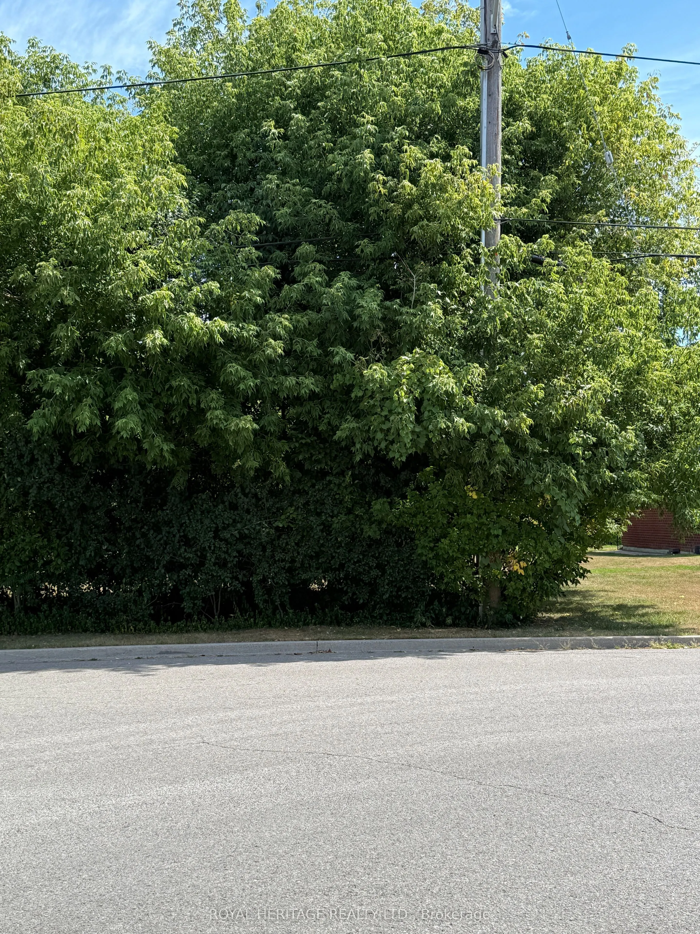 1839 (Part 1) Pine Grove Avenue
