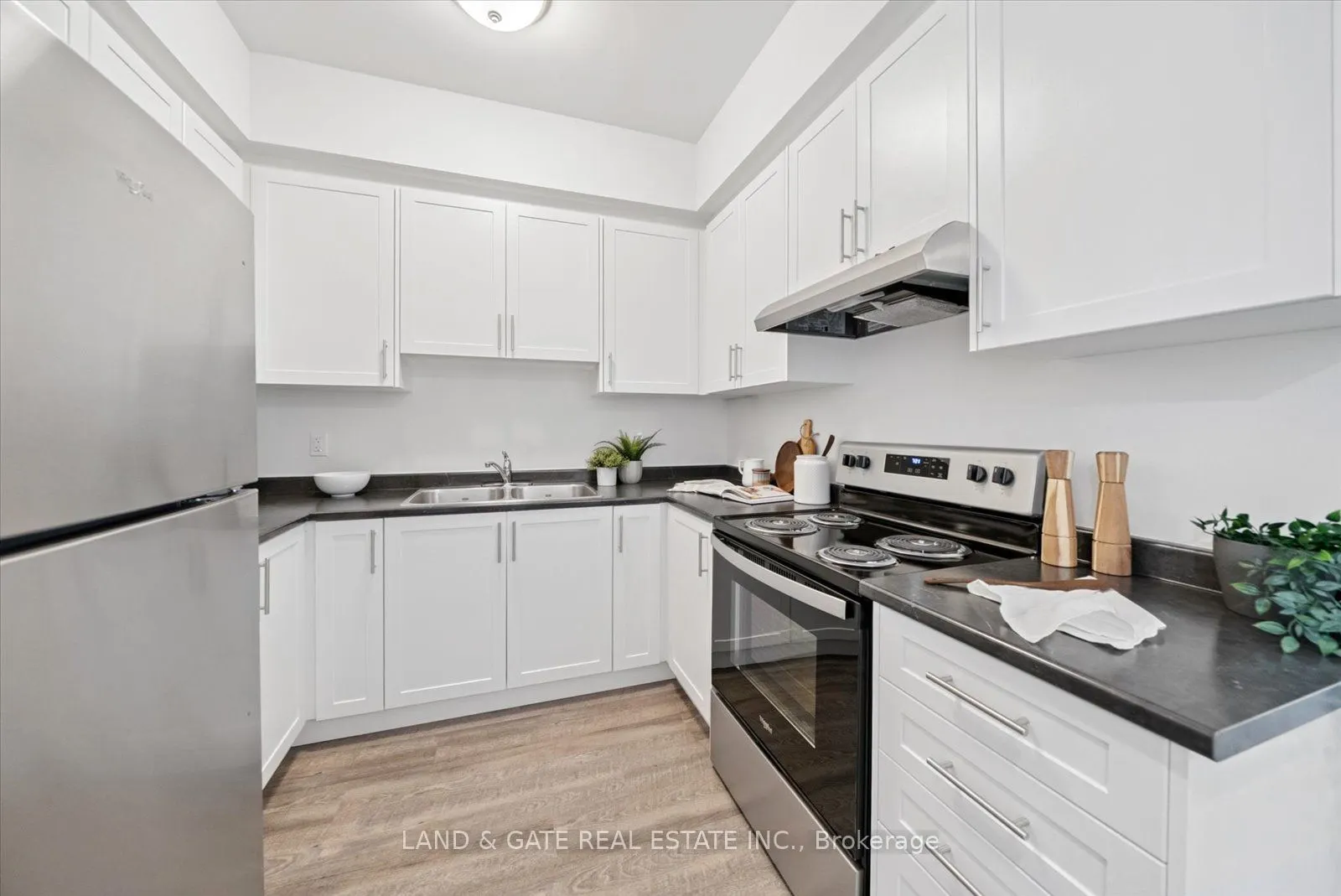 223 Albert Street, #4