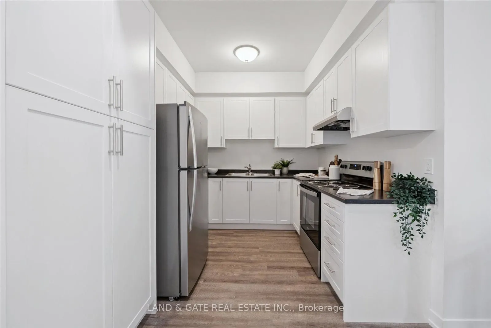 223 Albert Street, #4