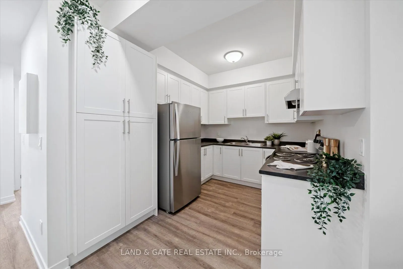 223 Albert Street, #4