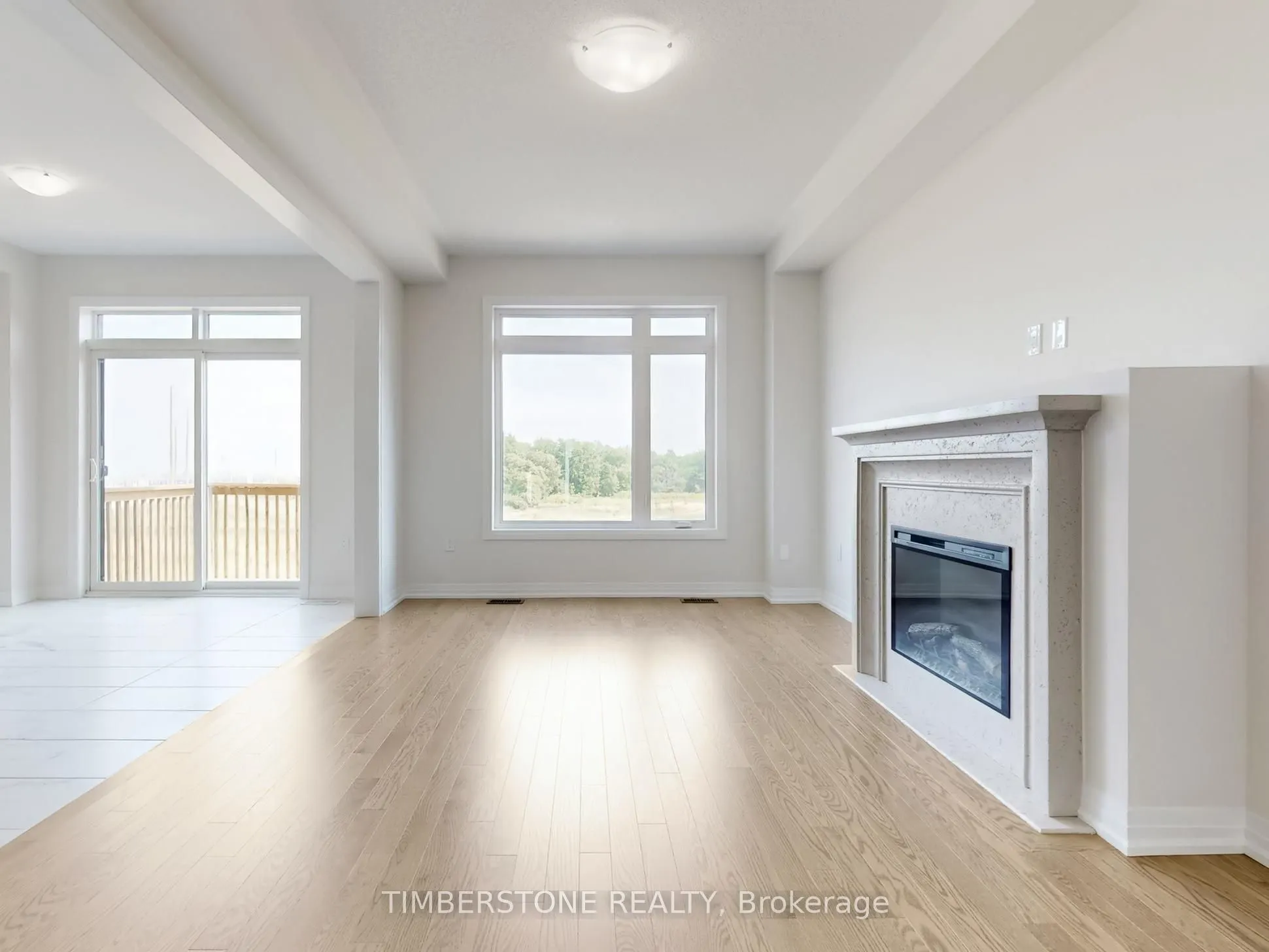 1119 Zircon Manor