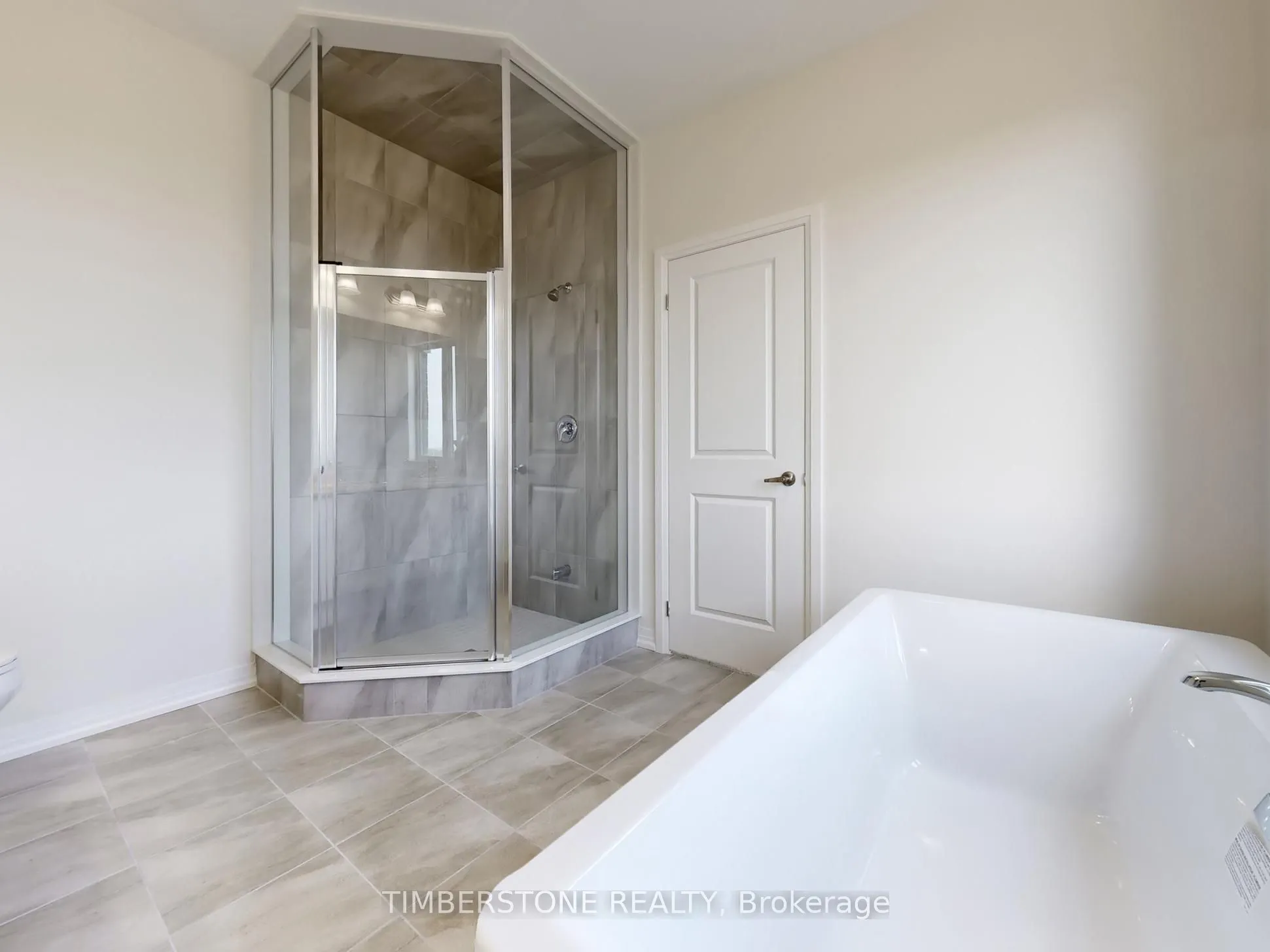 1119 Zircon Manor