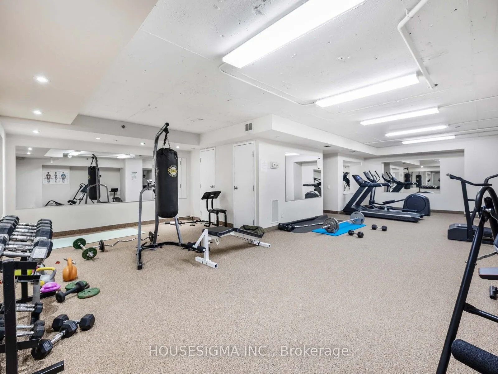 44 Bond Street W, #313