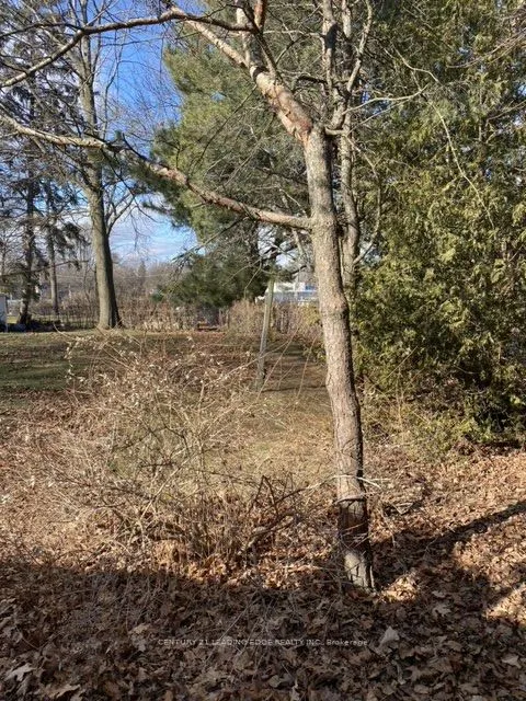 58 Pine Ridge Drive