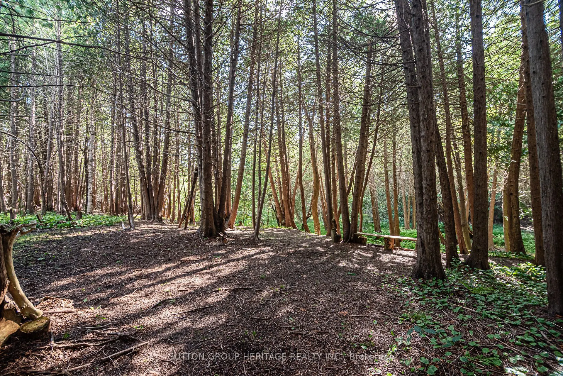 3390A Concession 9 Road, #Smaller House