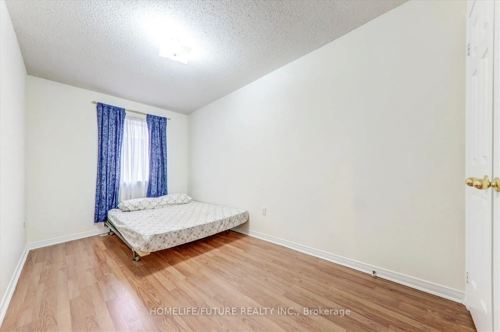 6 Guillet Street