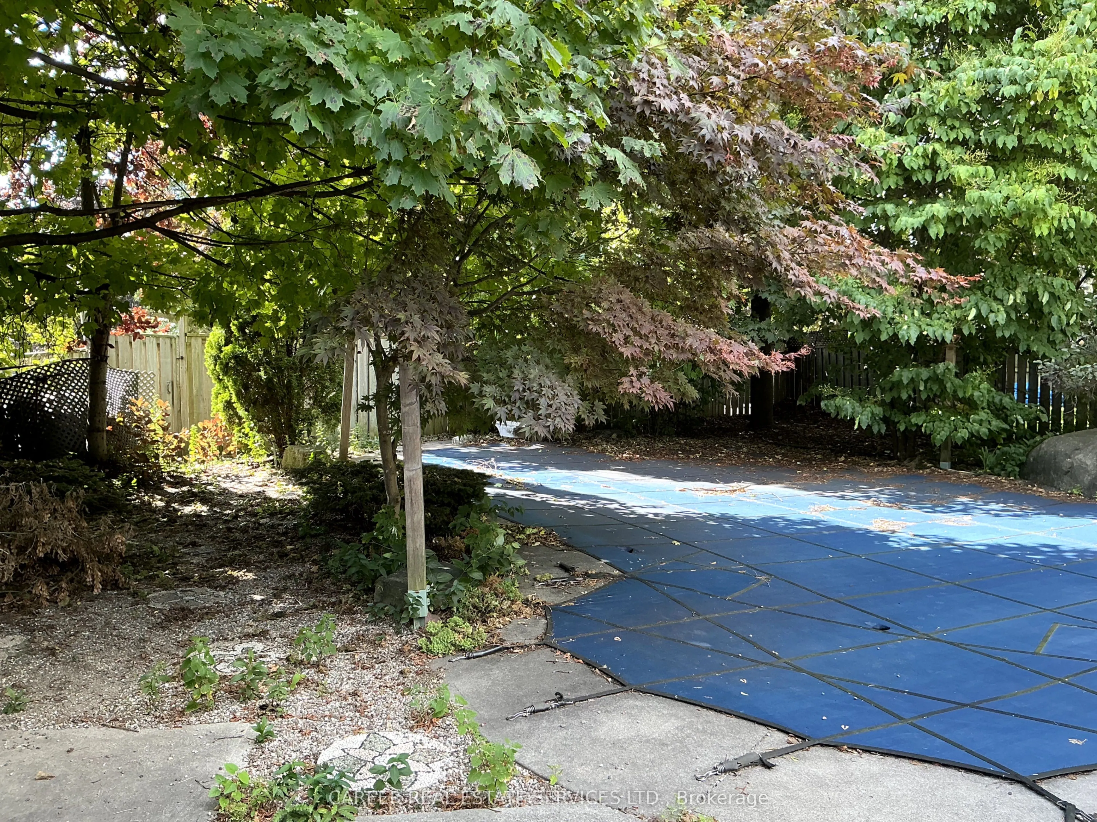 1187 Finch Avenue