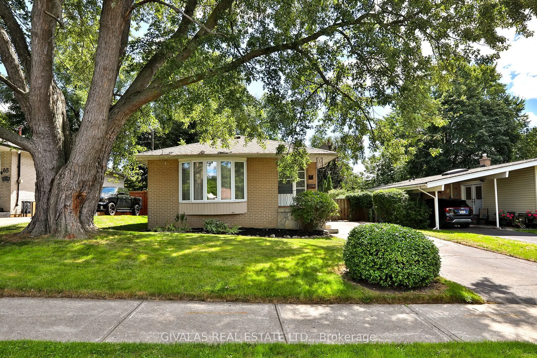 63 Alpaca Drive