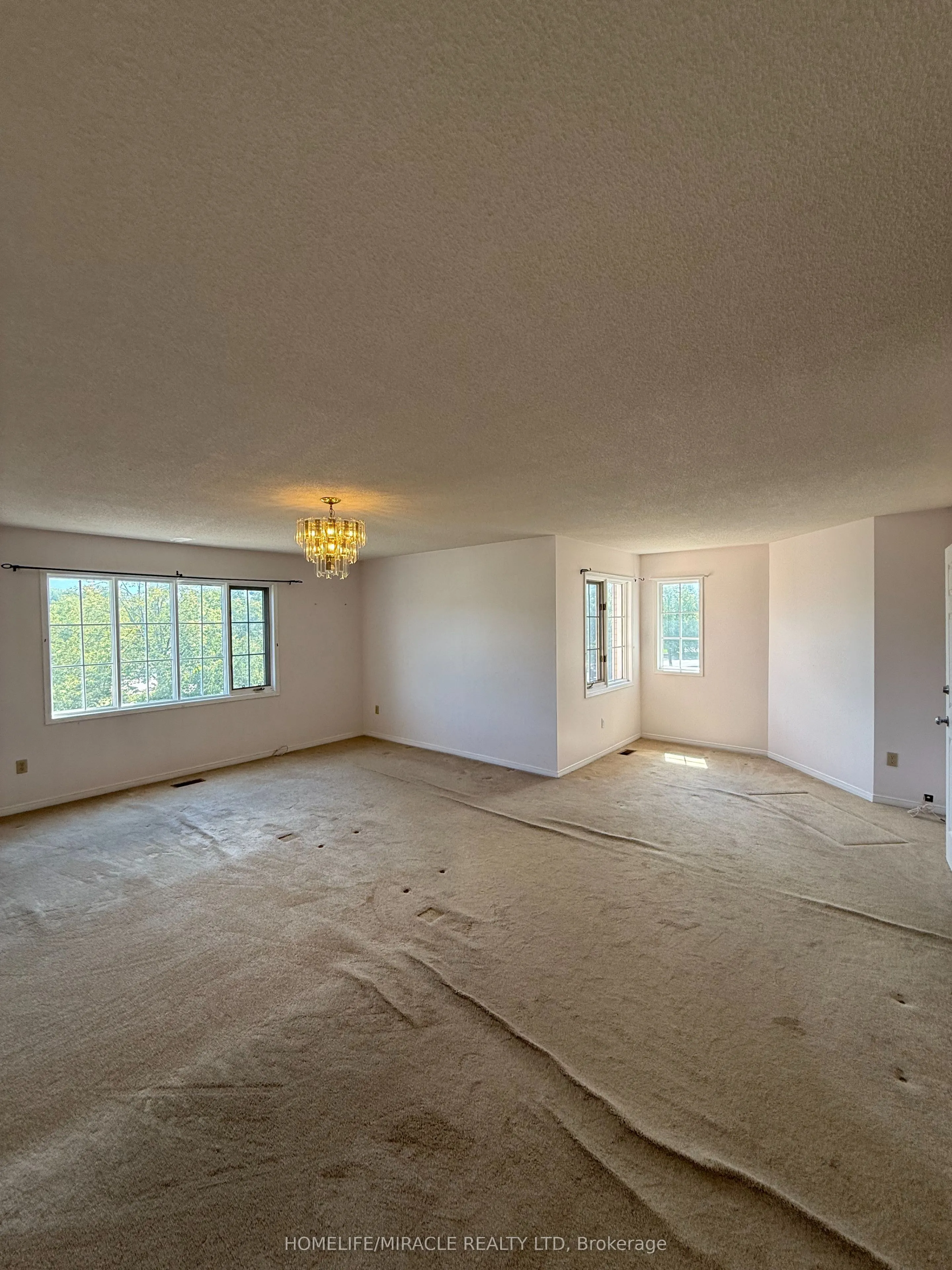 303 Delaney Drive