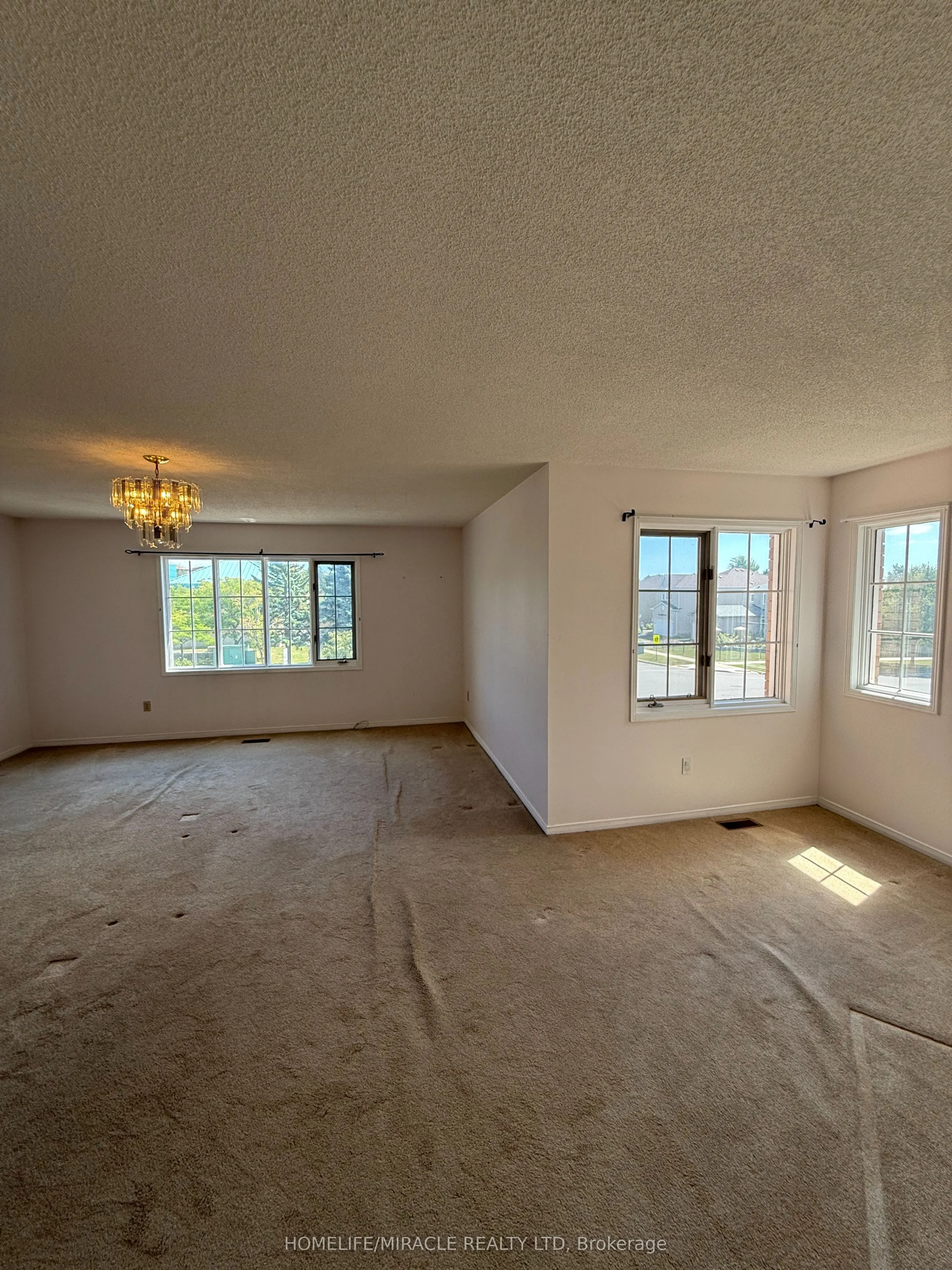 303 Delaney Drive