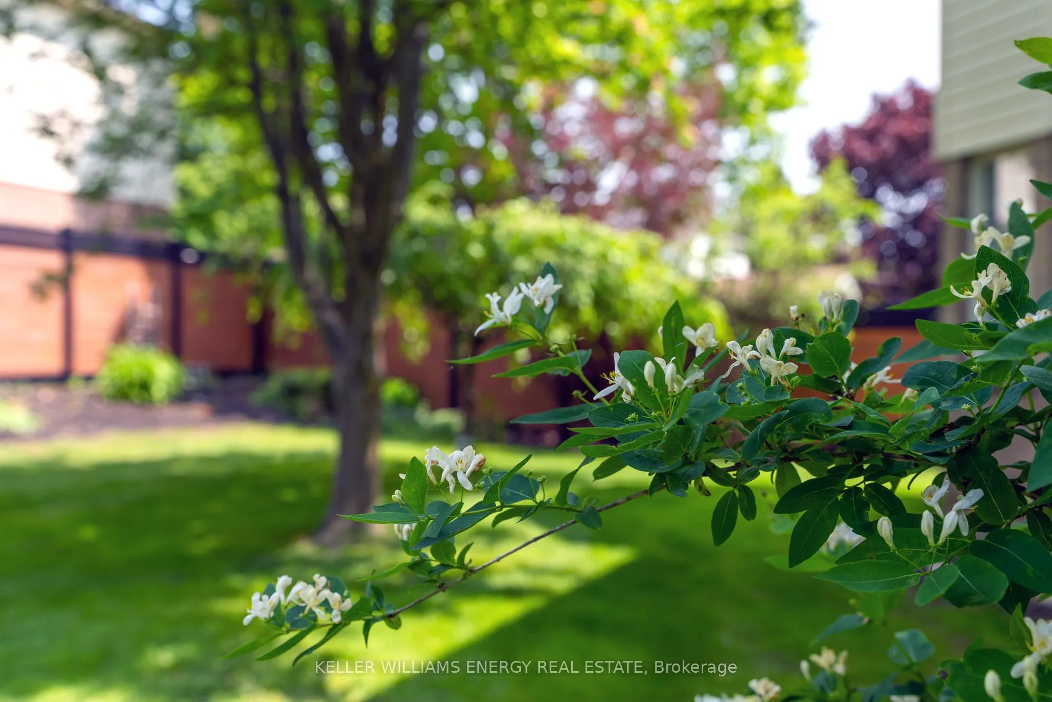 2 Resnik Drive