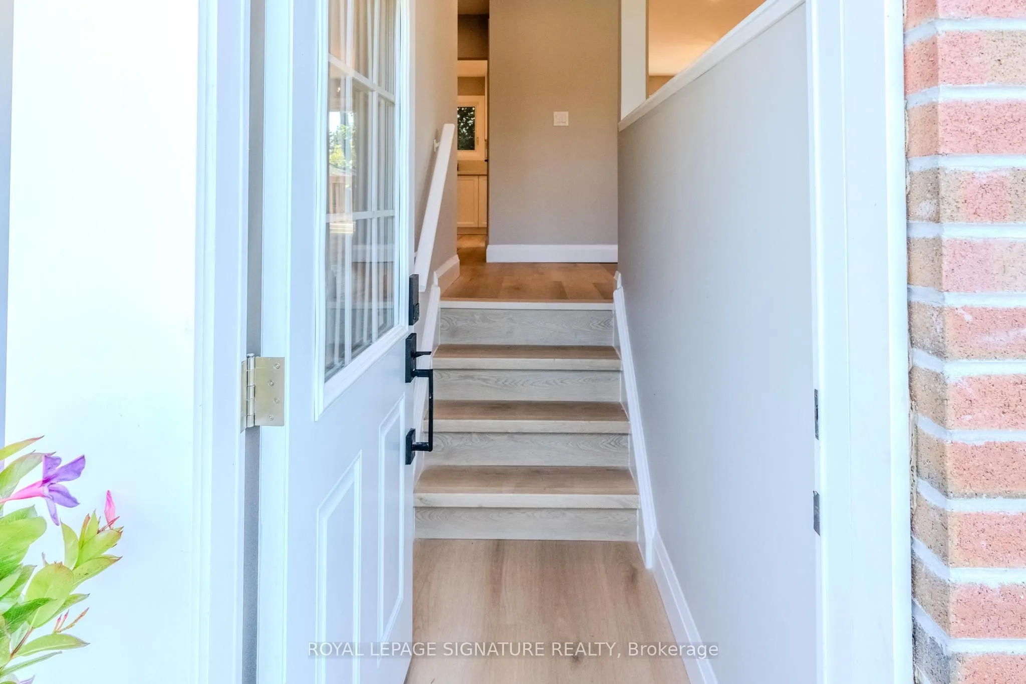 1337 Cedar Street, #Main