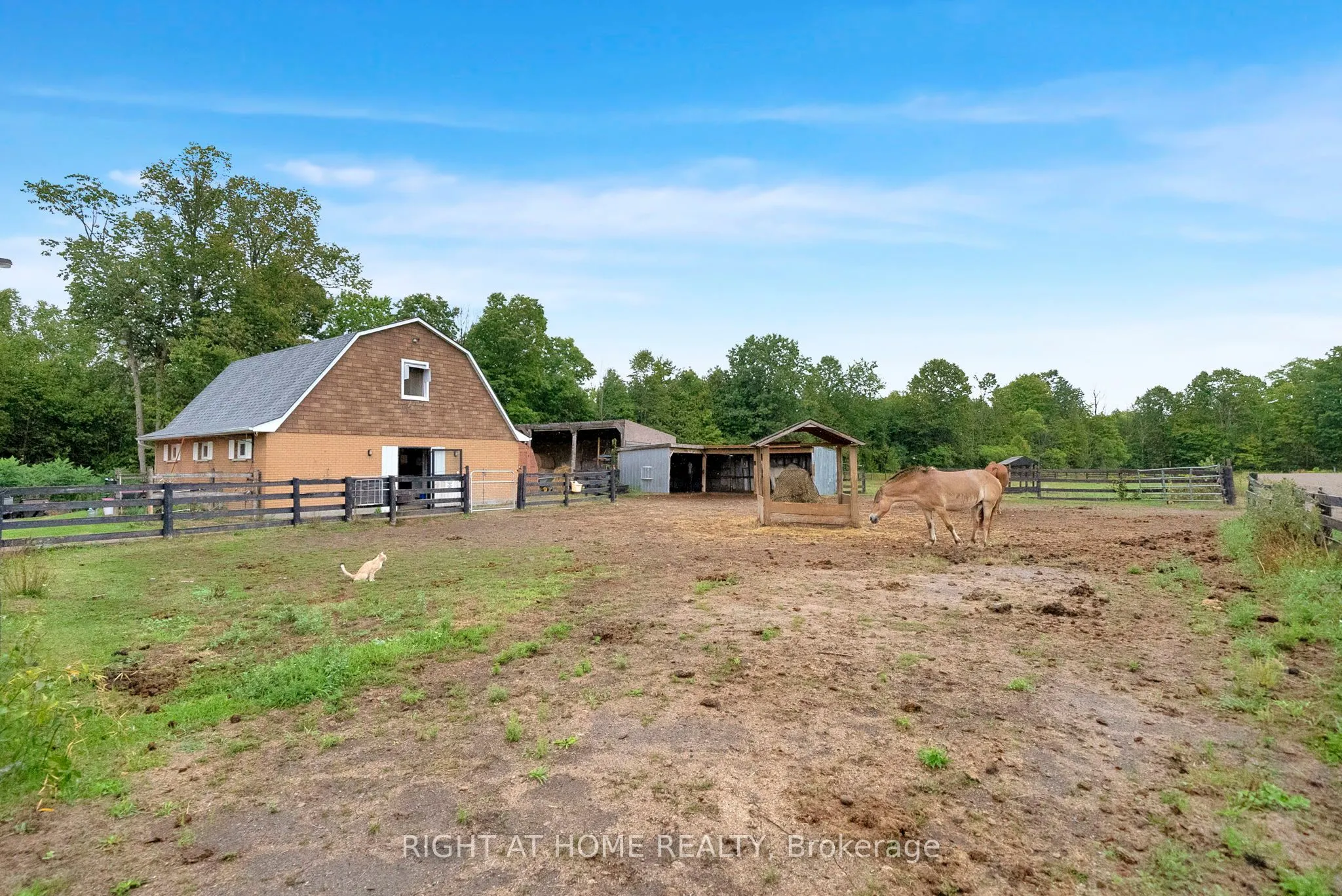 6265 Regional Road 18 Road