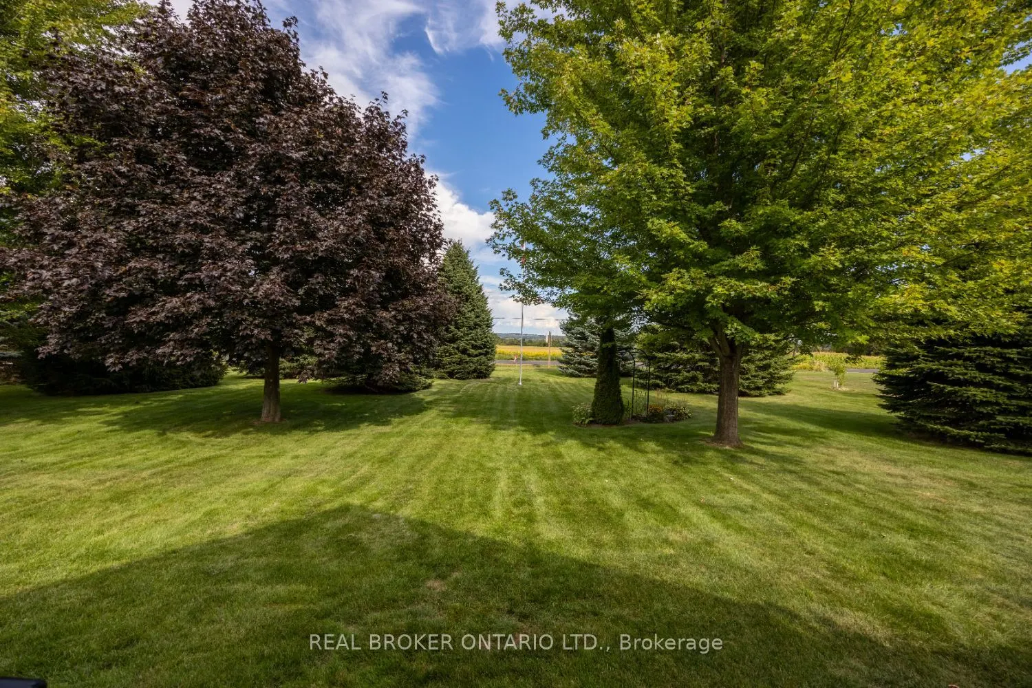 8360 Old Scugog Road