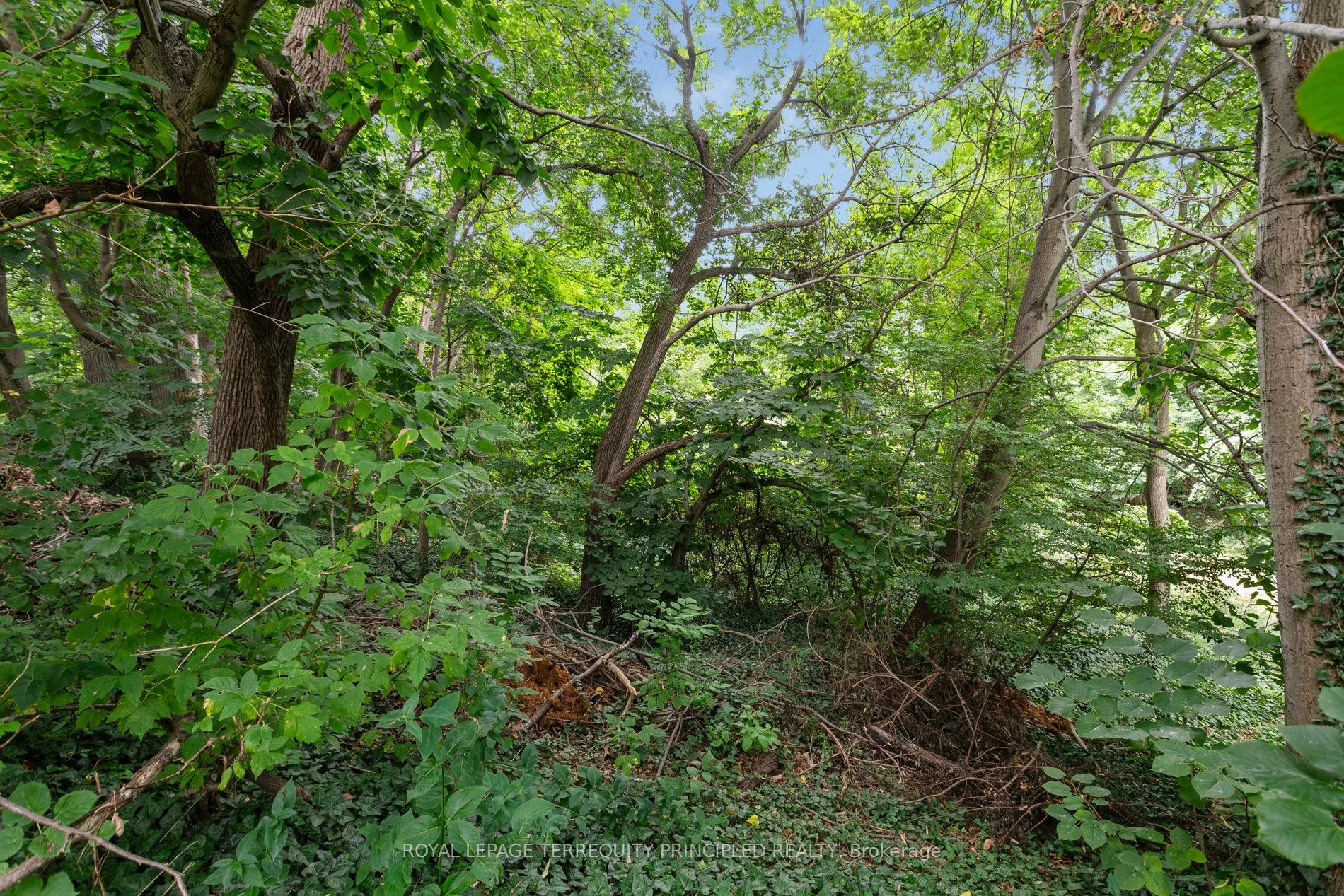 235 Birkdale Road