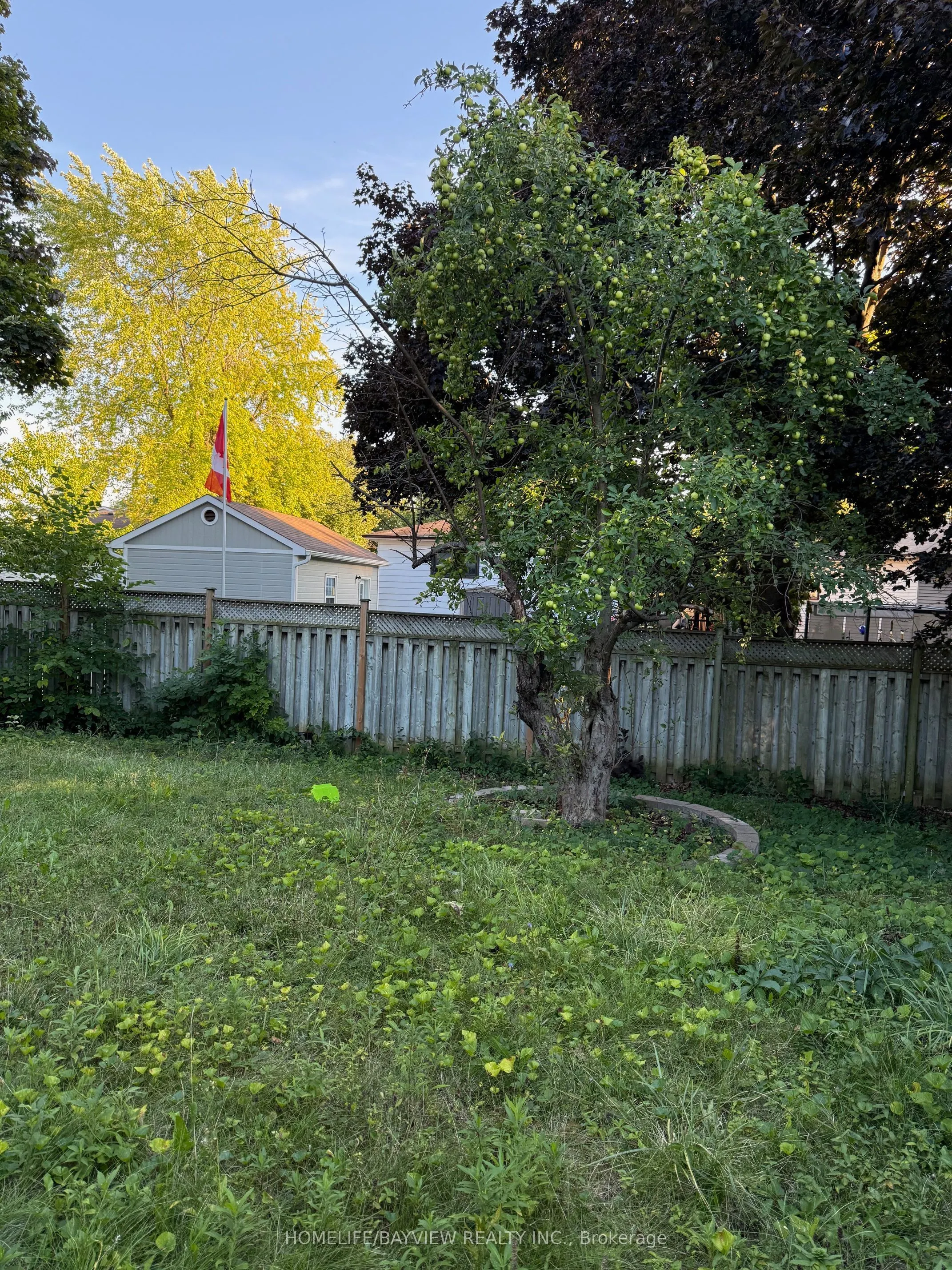 4 O'henry Grove