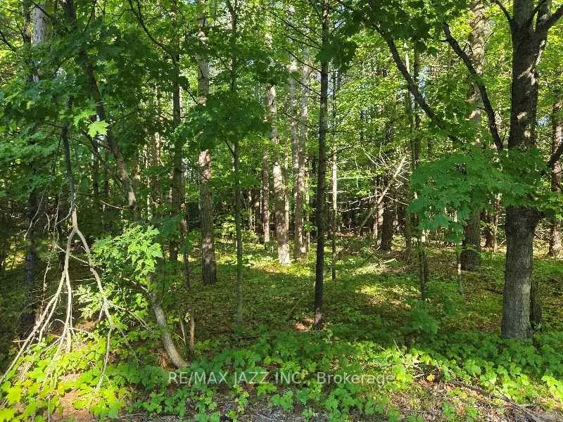 33 Sumac Road