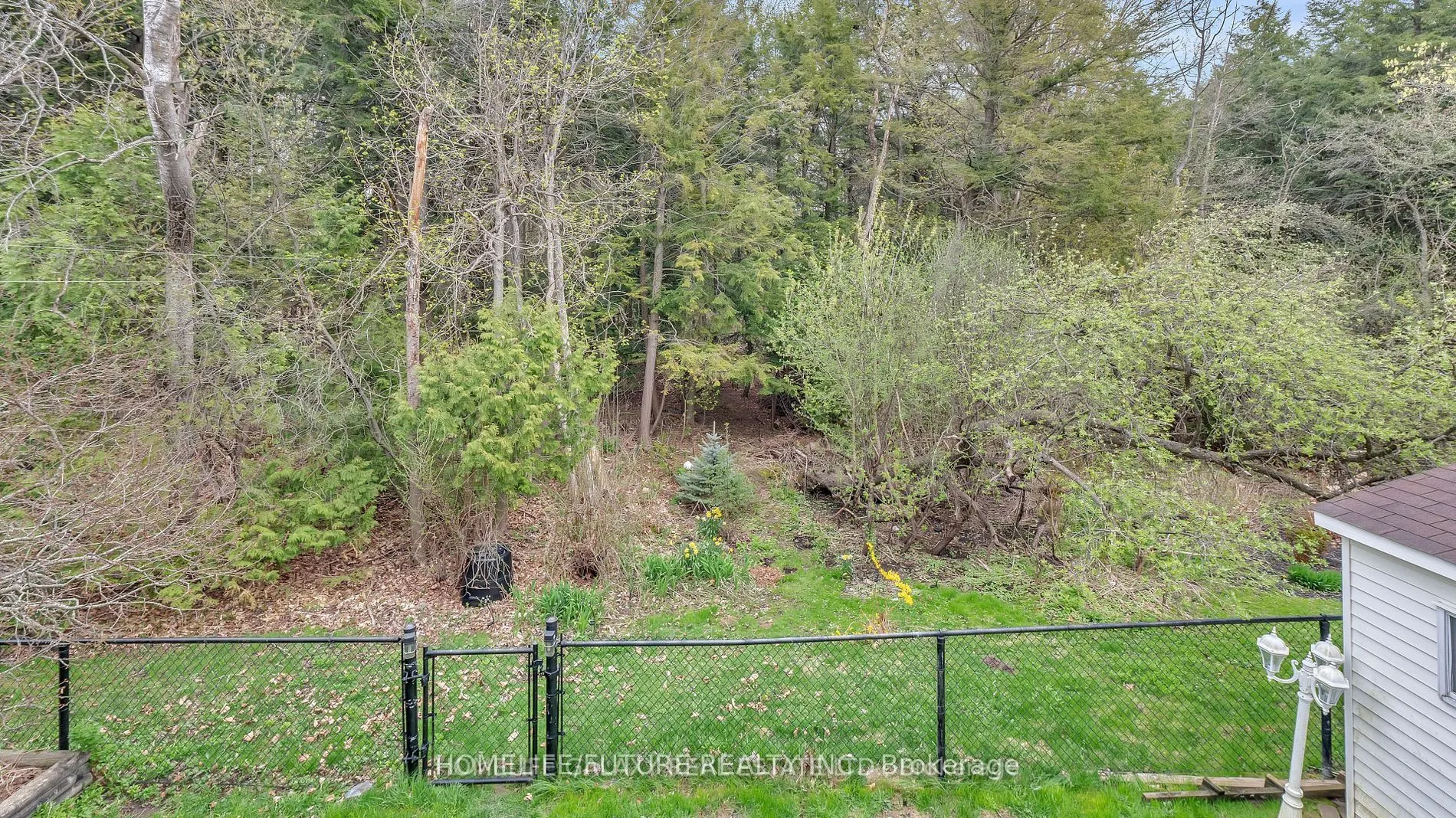 979 Copperfield Drive, #BSMT