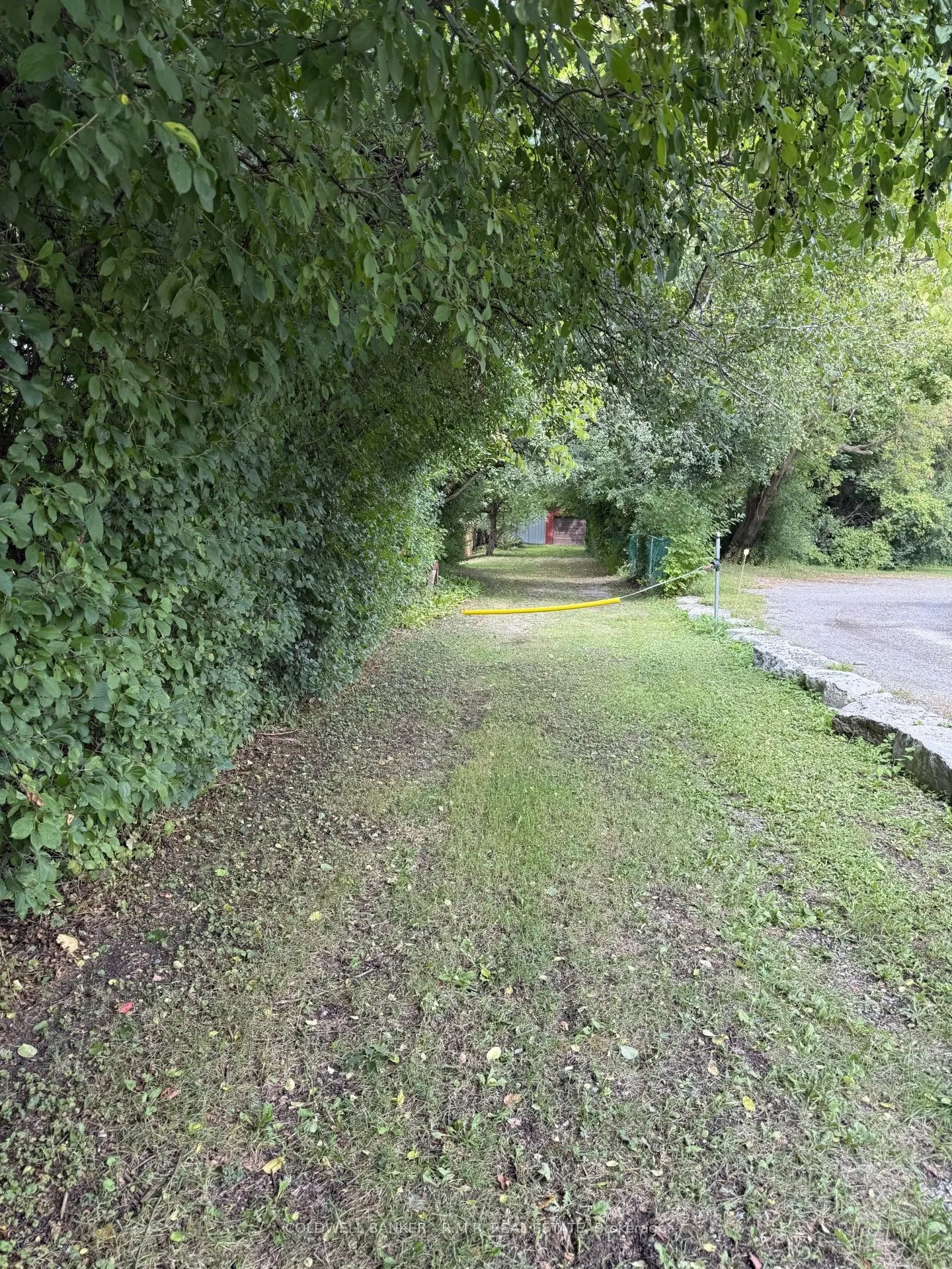7 Vipond Road