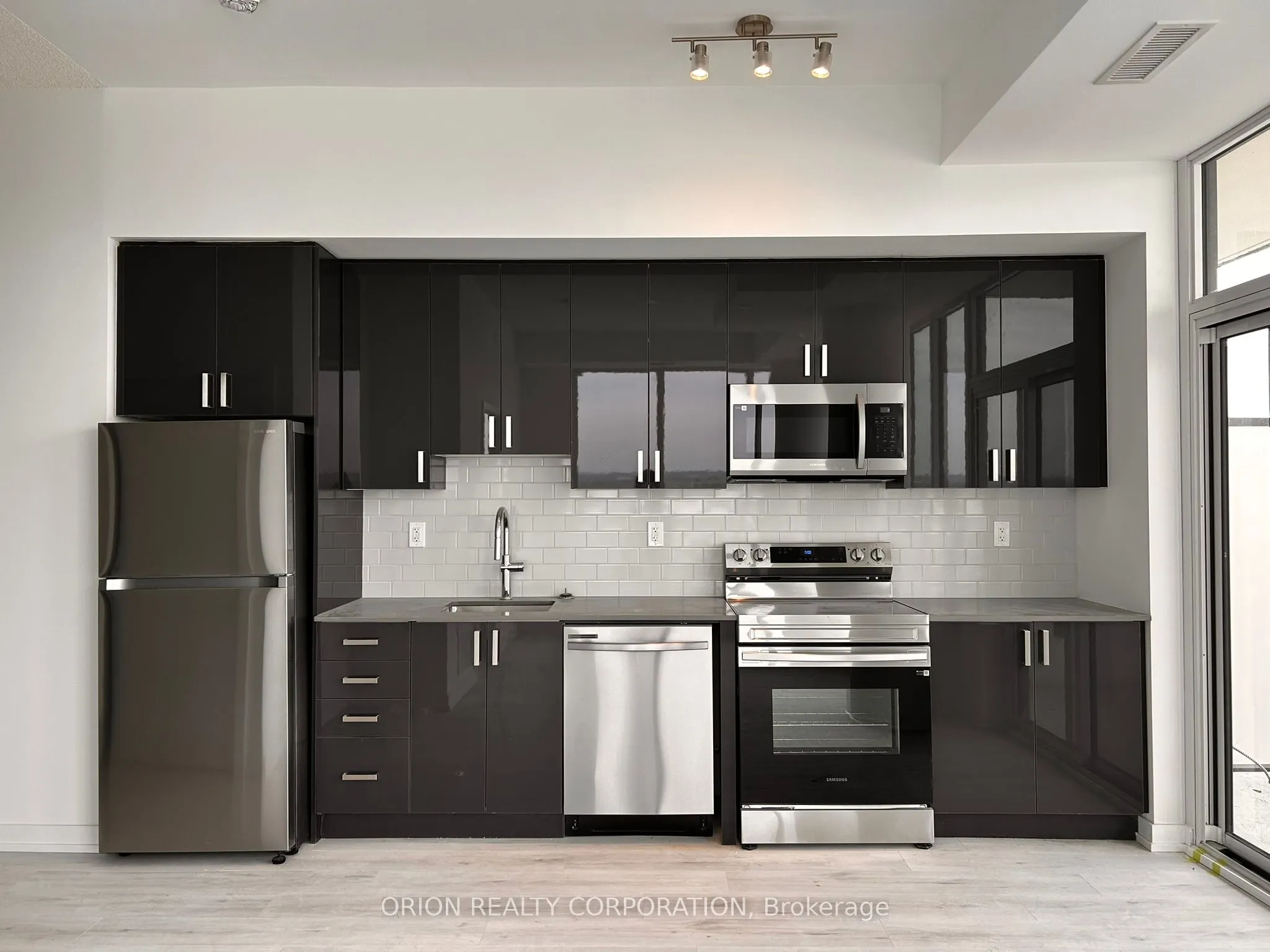 1435 Celebration Drive, #3006