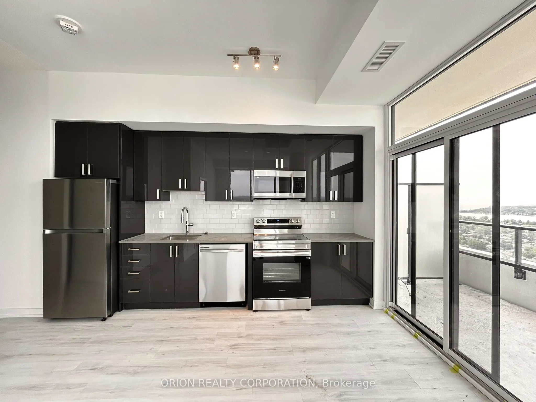 1435 Celebration Drive, #3006