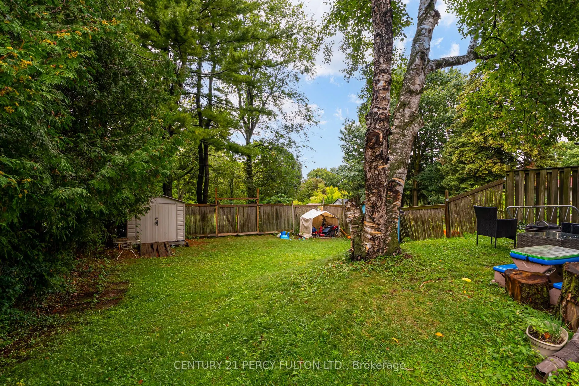 62 Dale Avenue, #lower