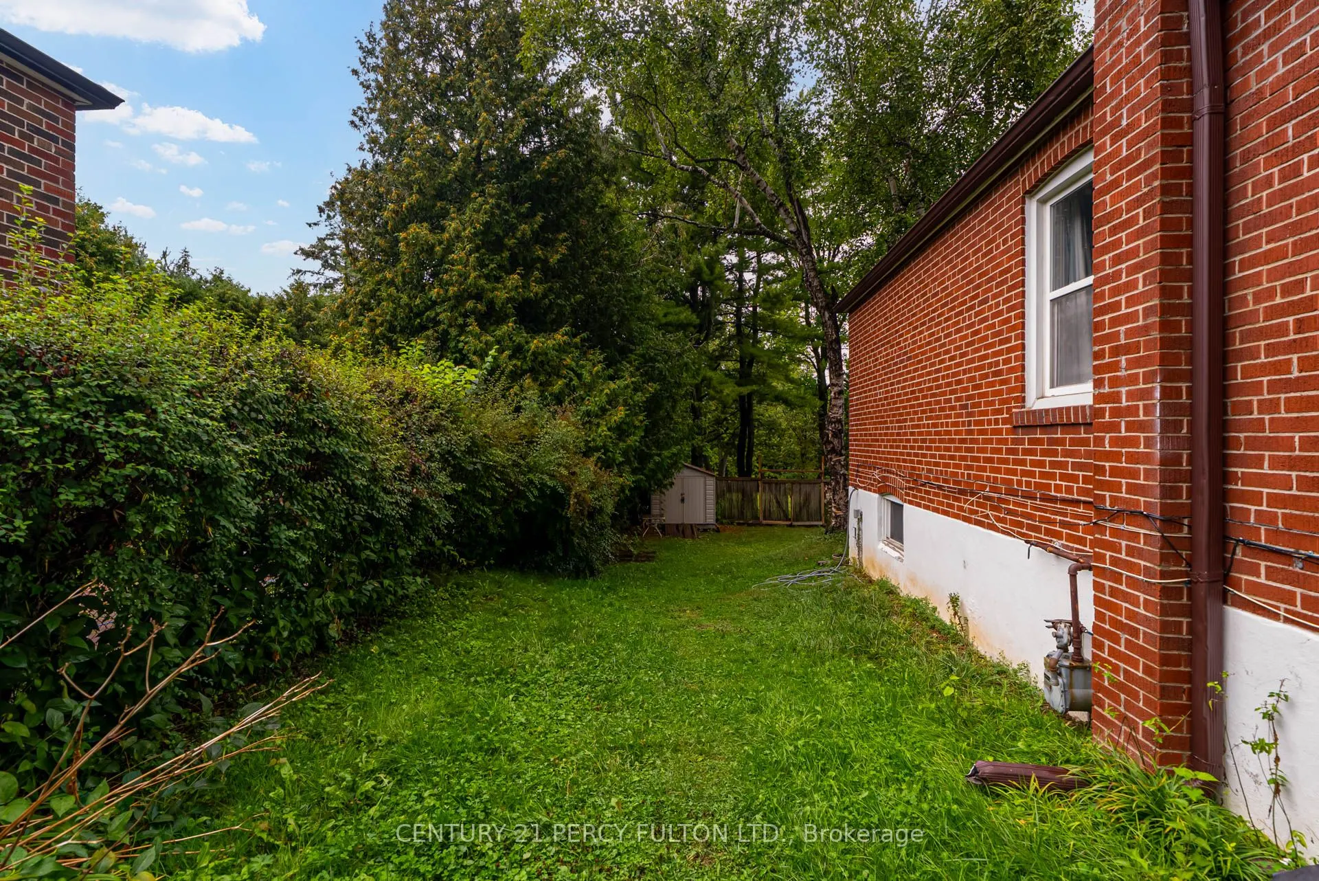 62 Dale Avenue, #lower