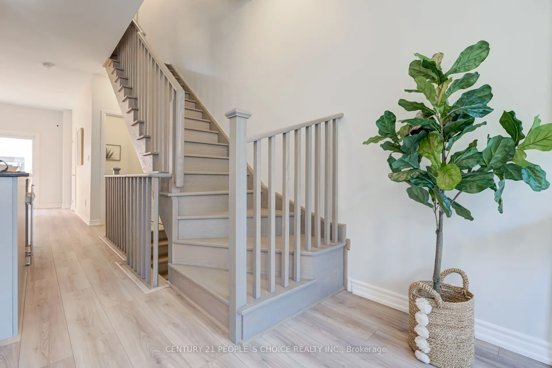 1629 Pleasure Valley Path