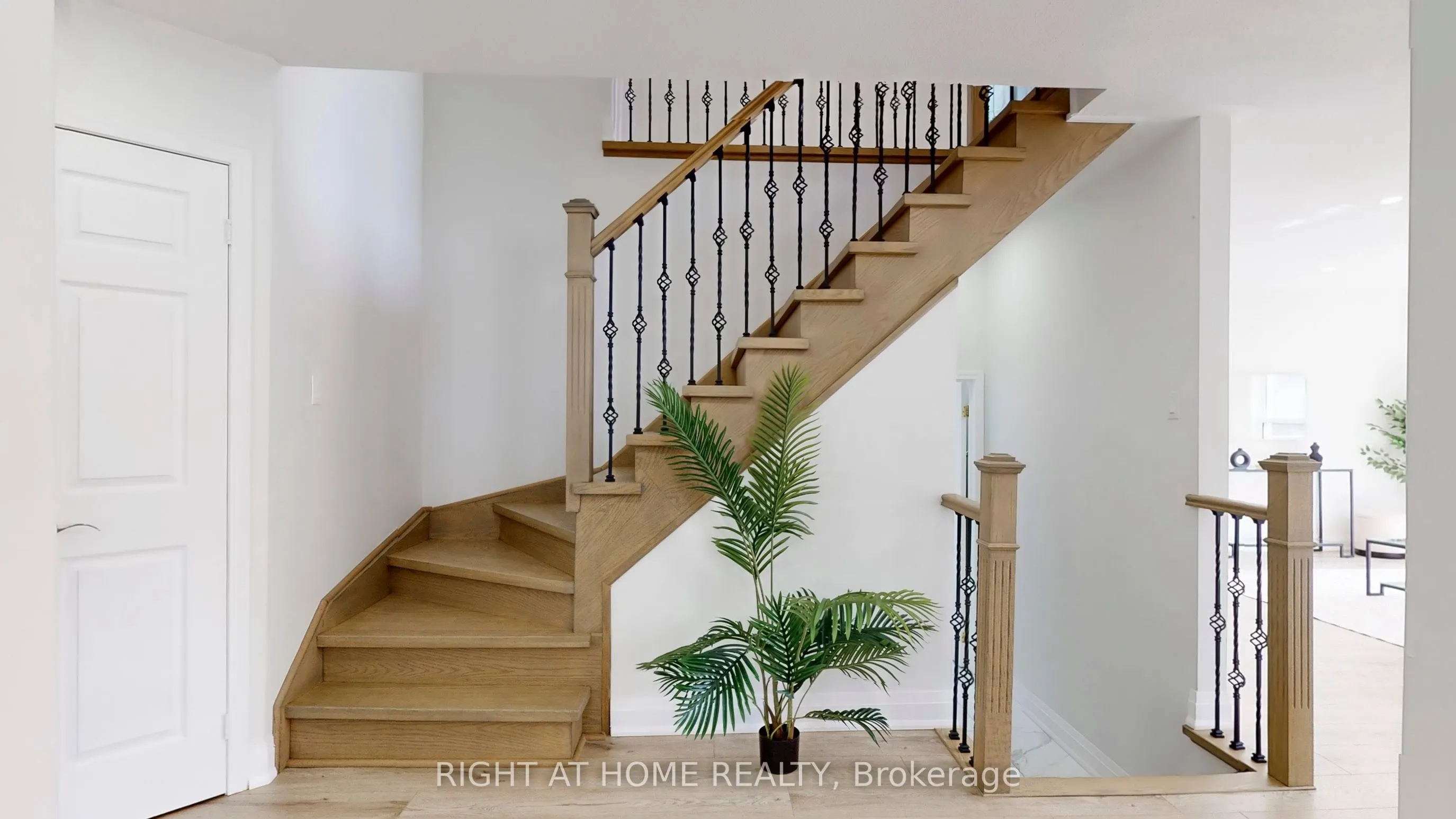 55 Tilley Road