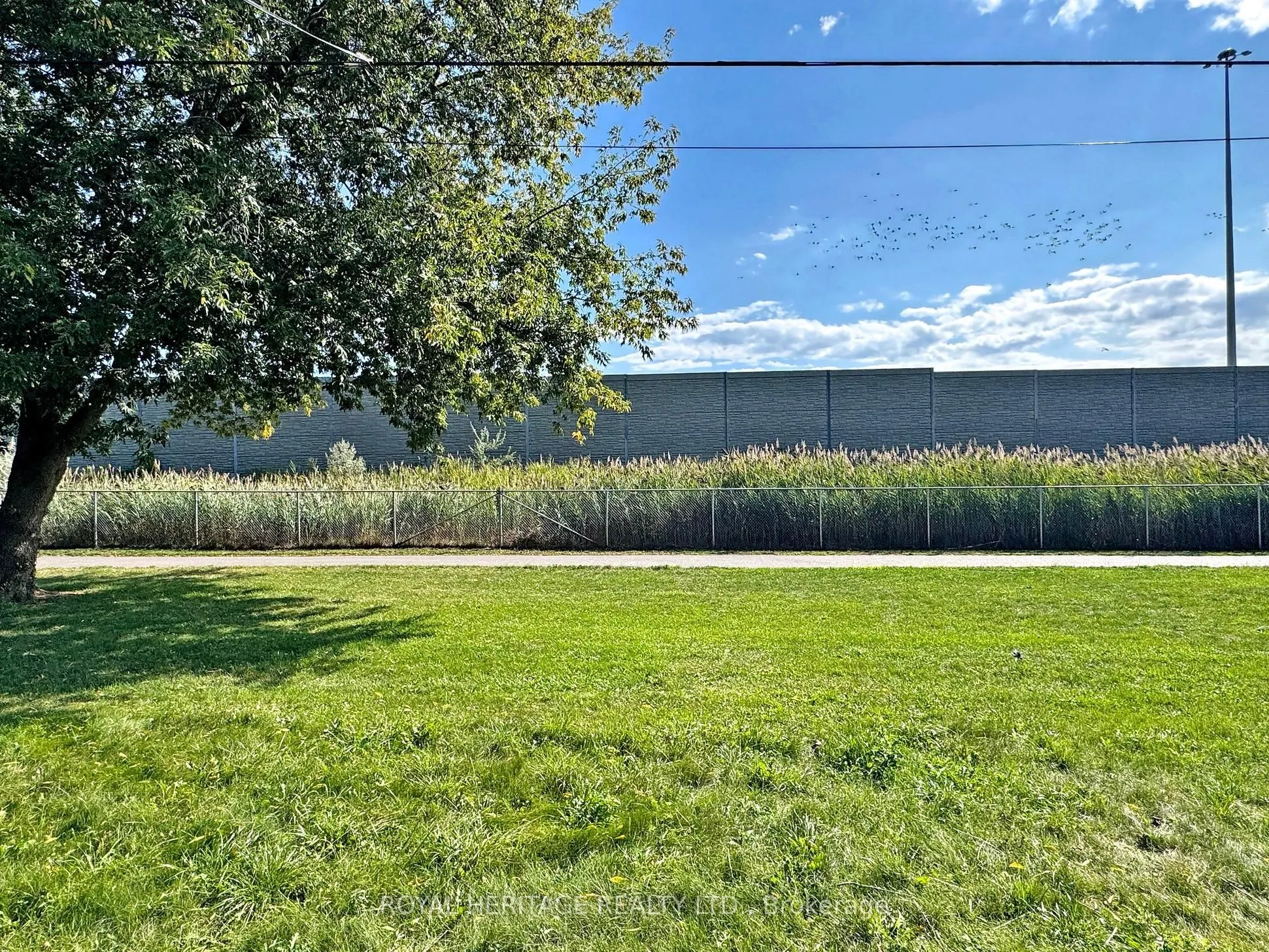 1002 McCullough Drive