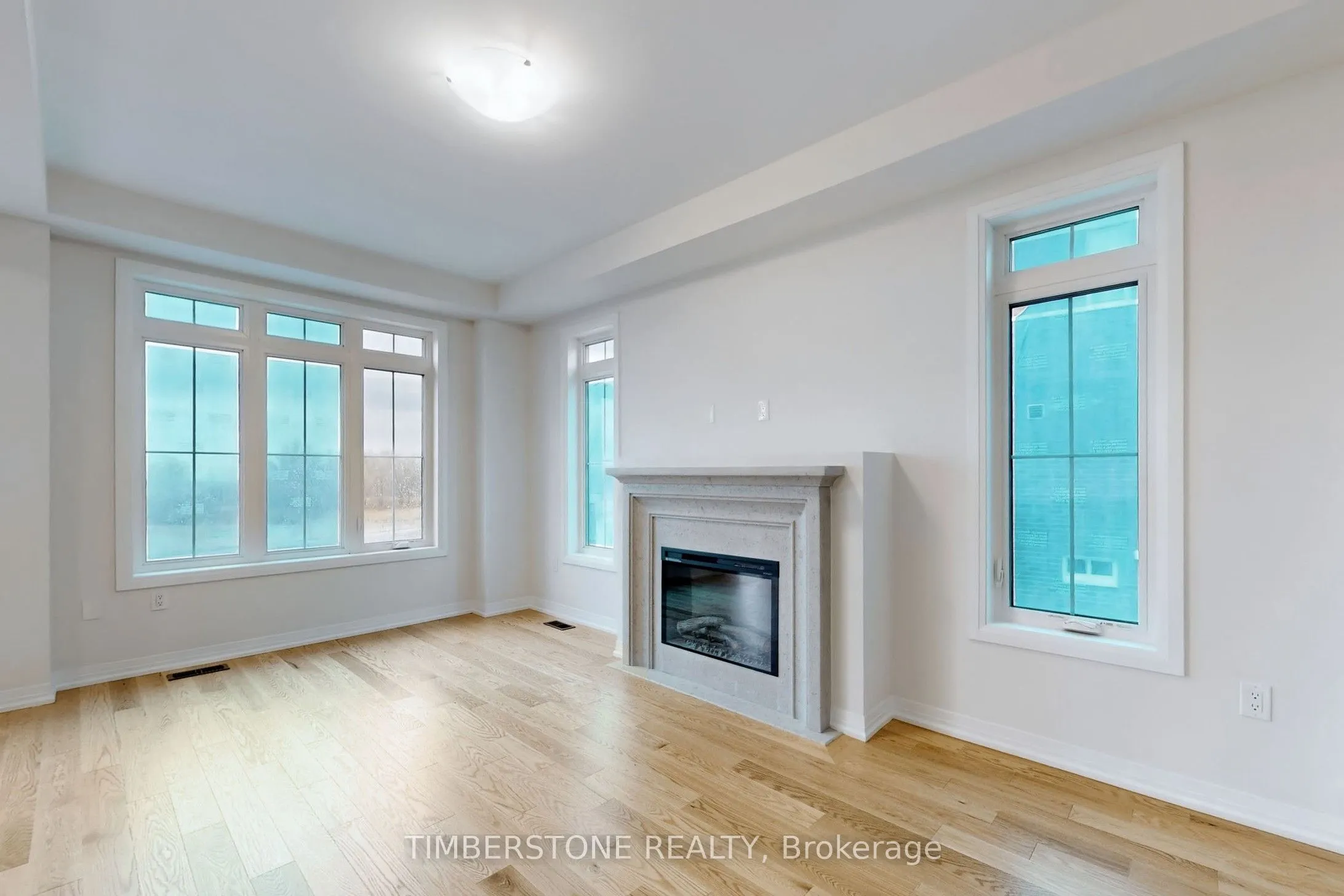 1103 Zircon Manor
