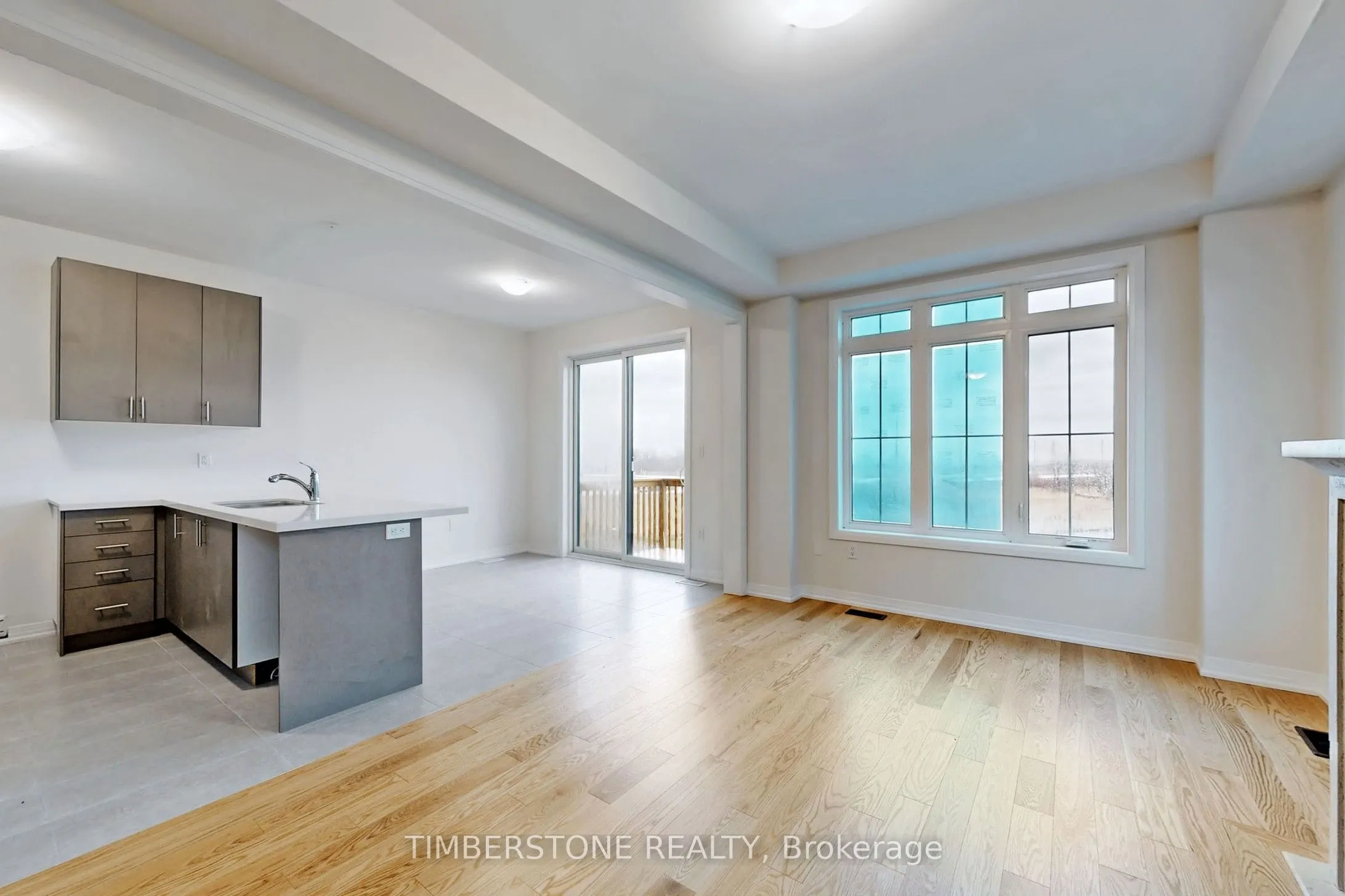 1103 Zircon Manor