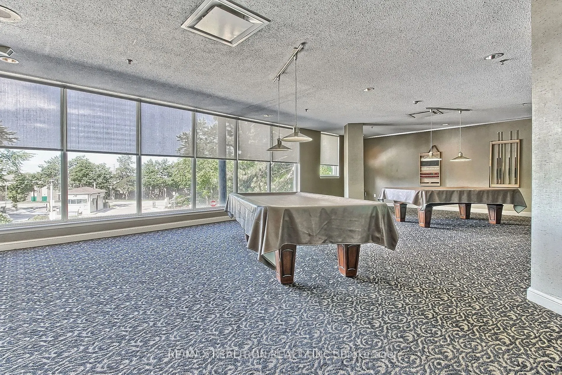 5 Greystone Walk Drive, #206