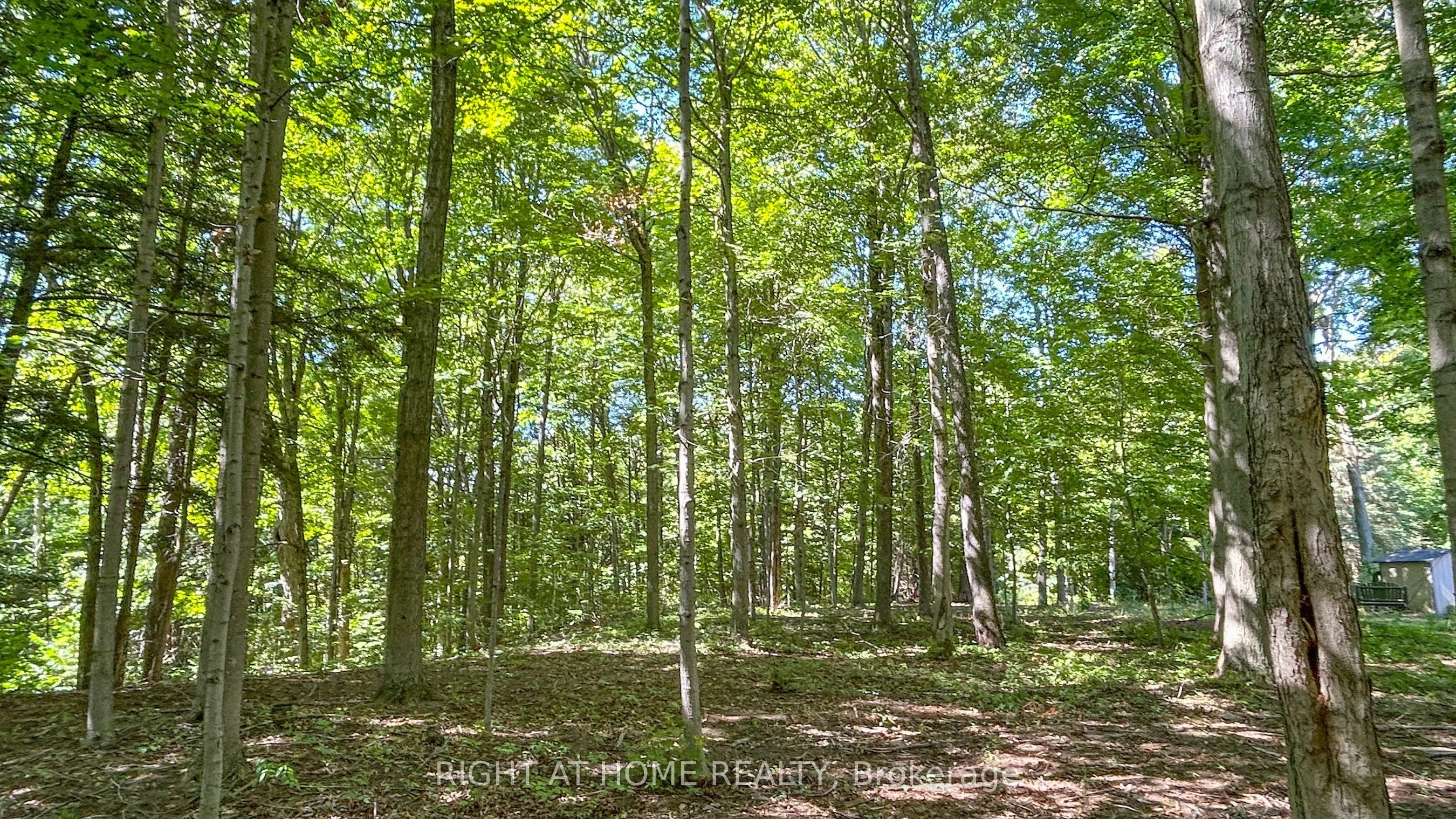 27 Timberlane Court
