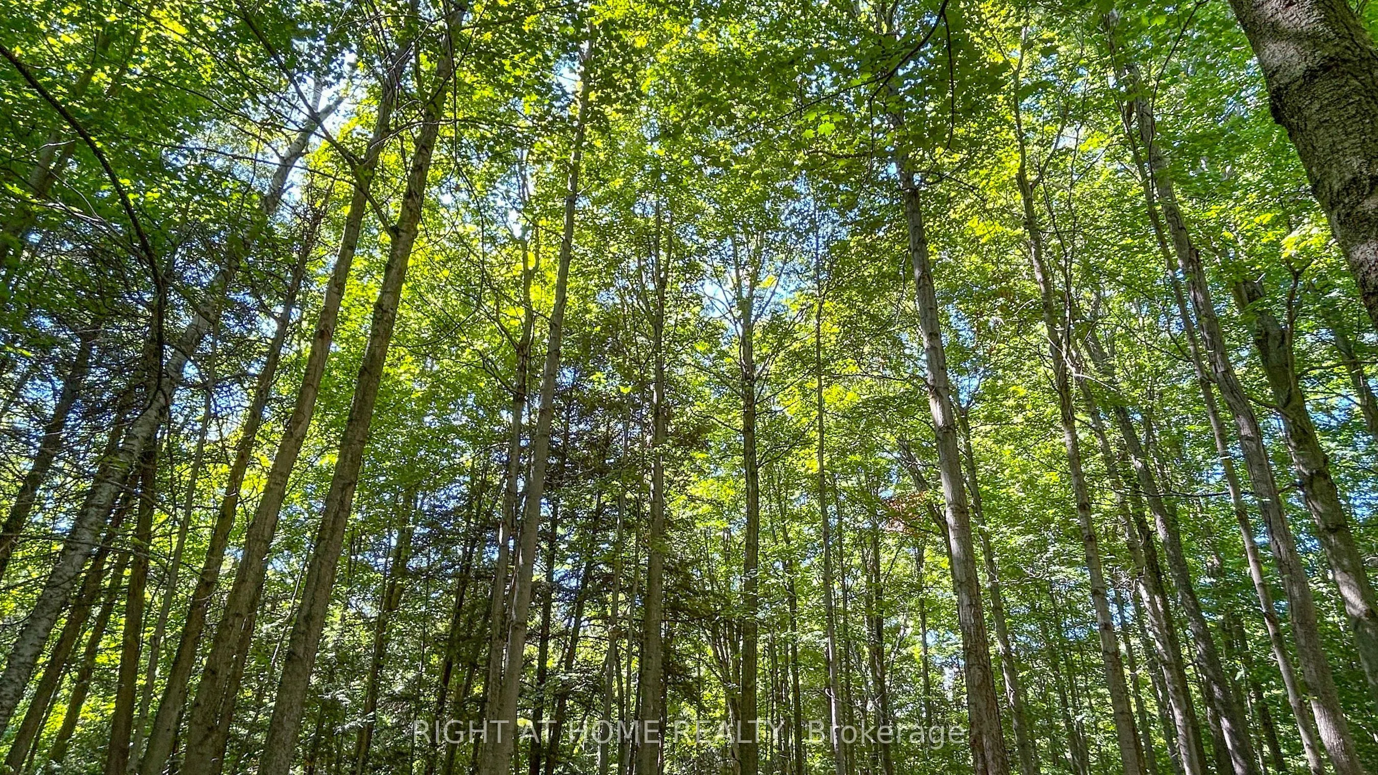 27 Timberlane Court