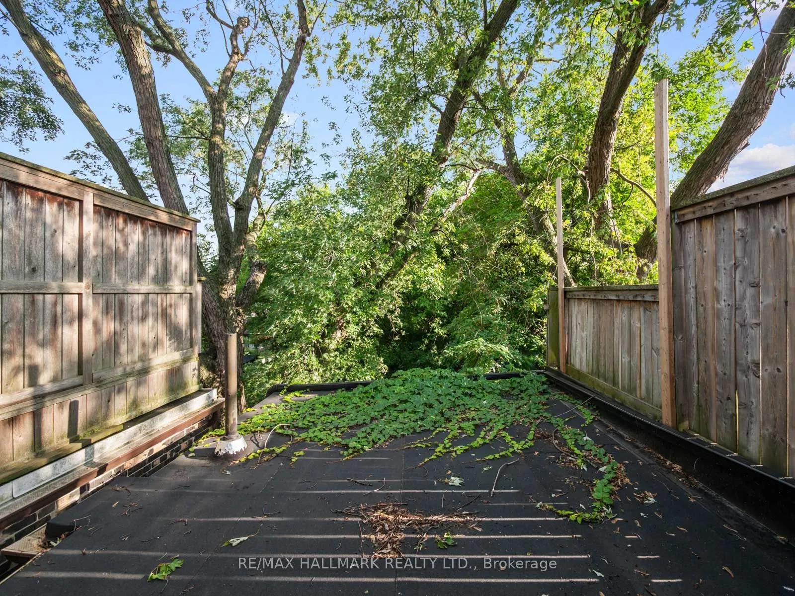 73 Withrow Avenue
