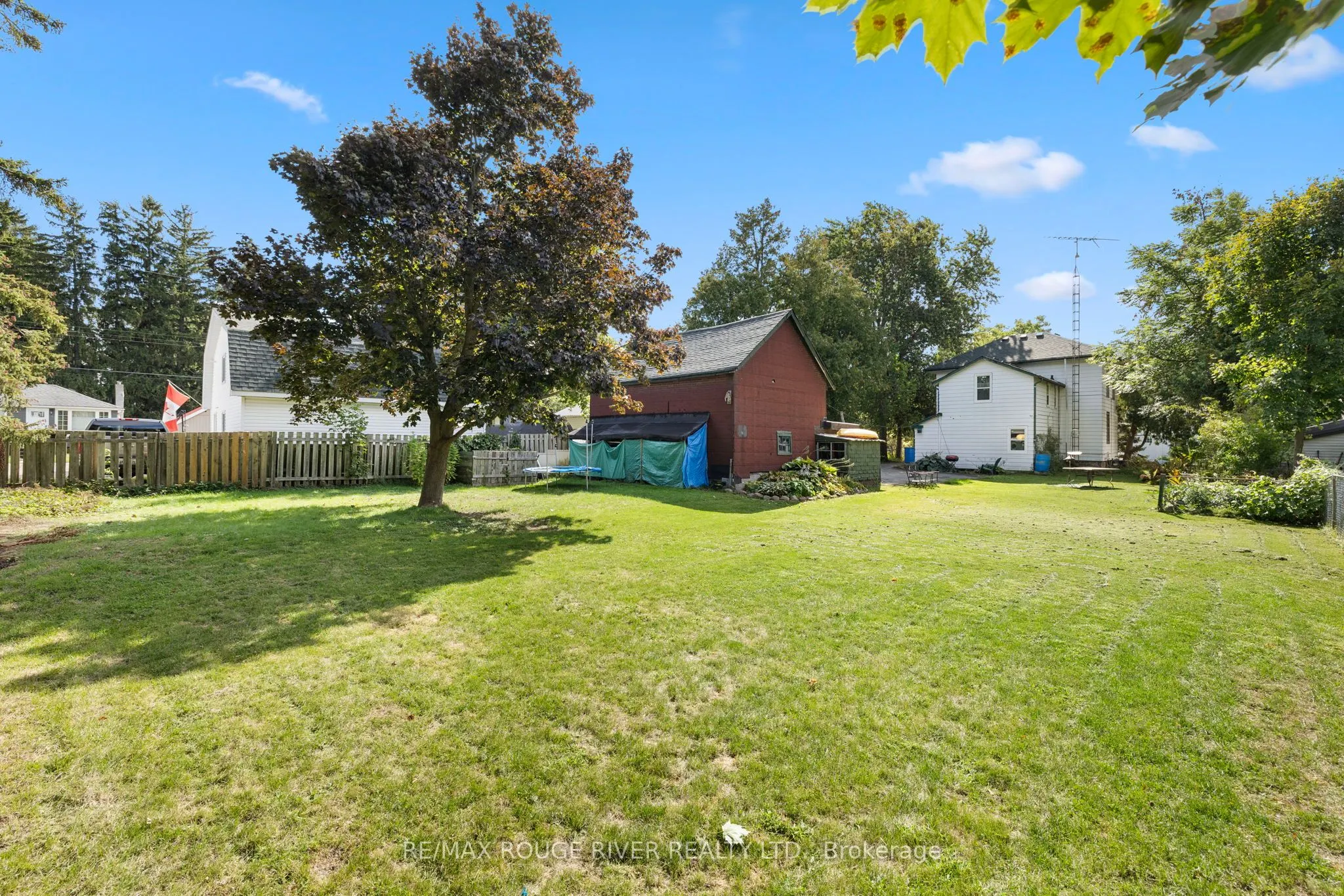 20 Odell Street