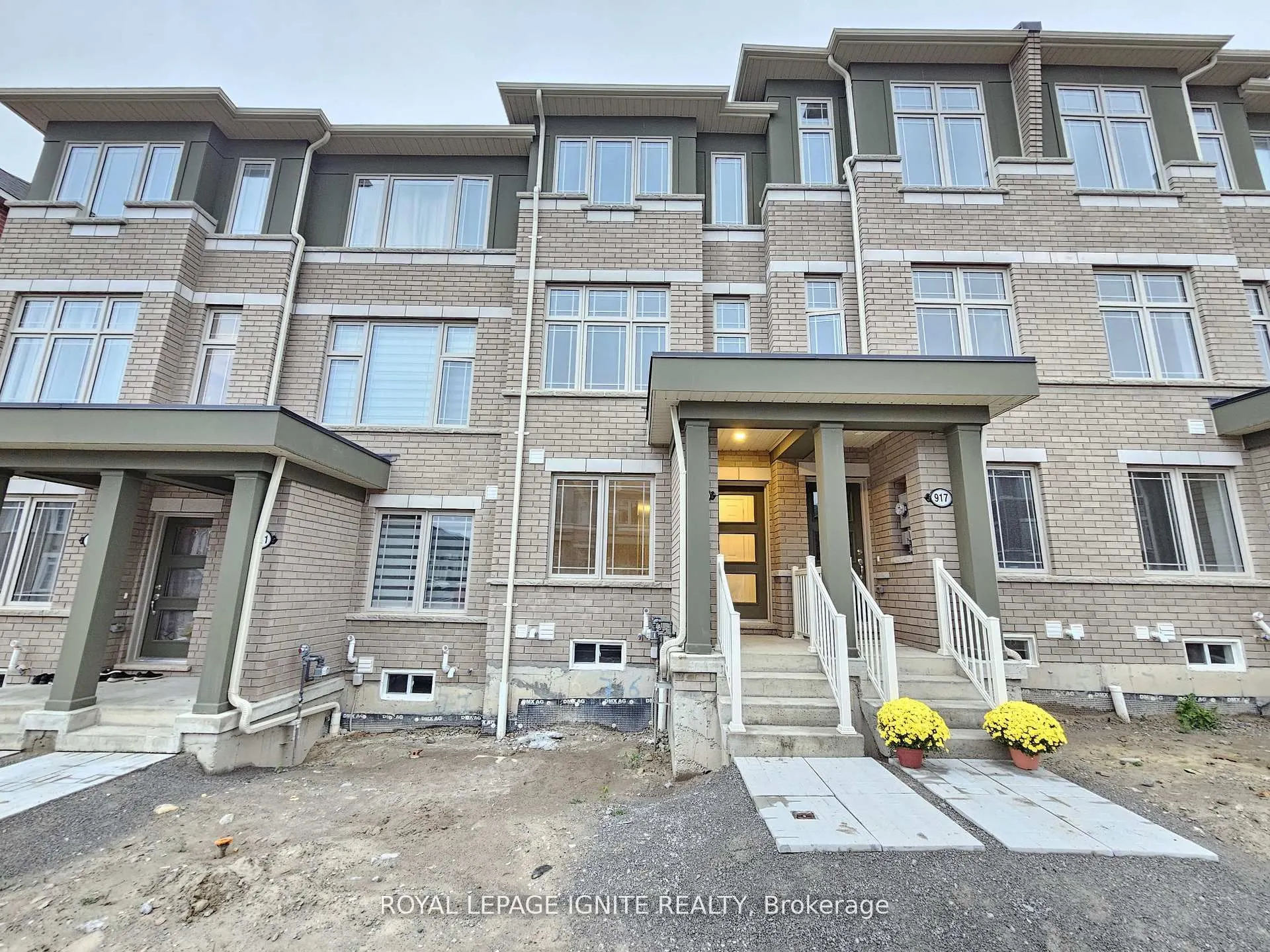 919 Crowsnest Hollow