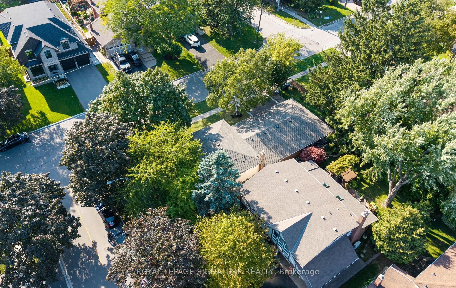 55 Bathgate Drive