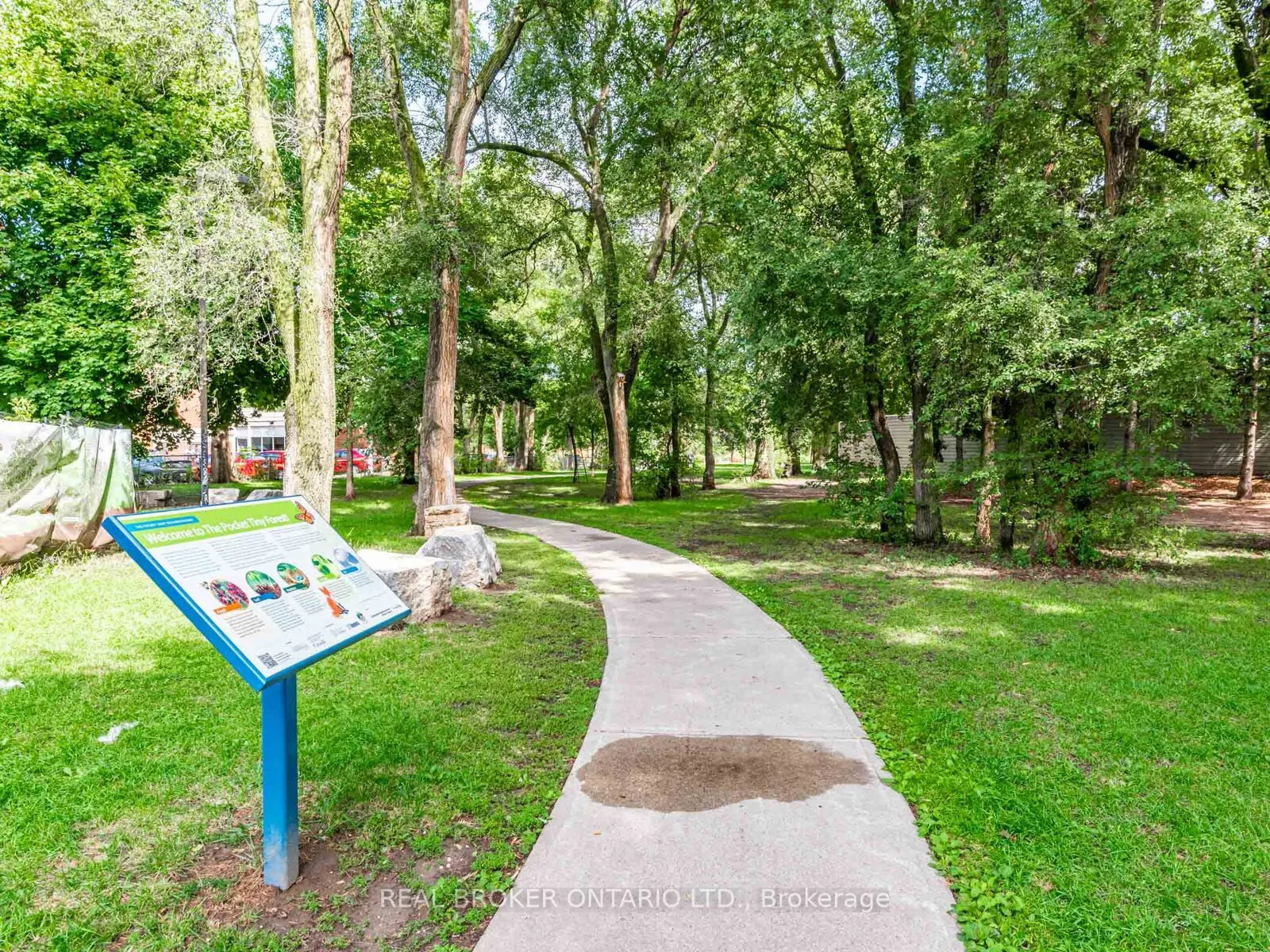 1 Phin Avenue