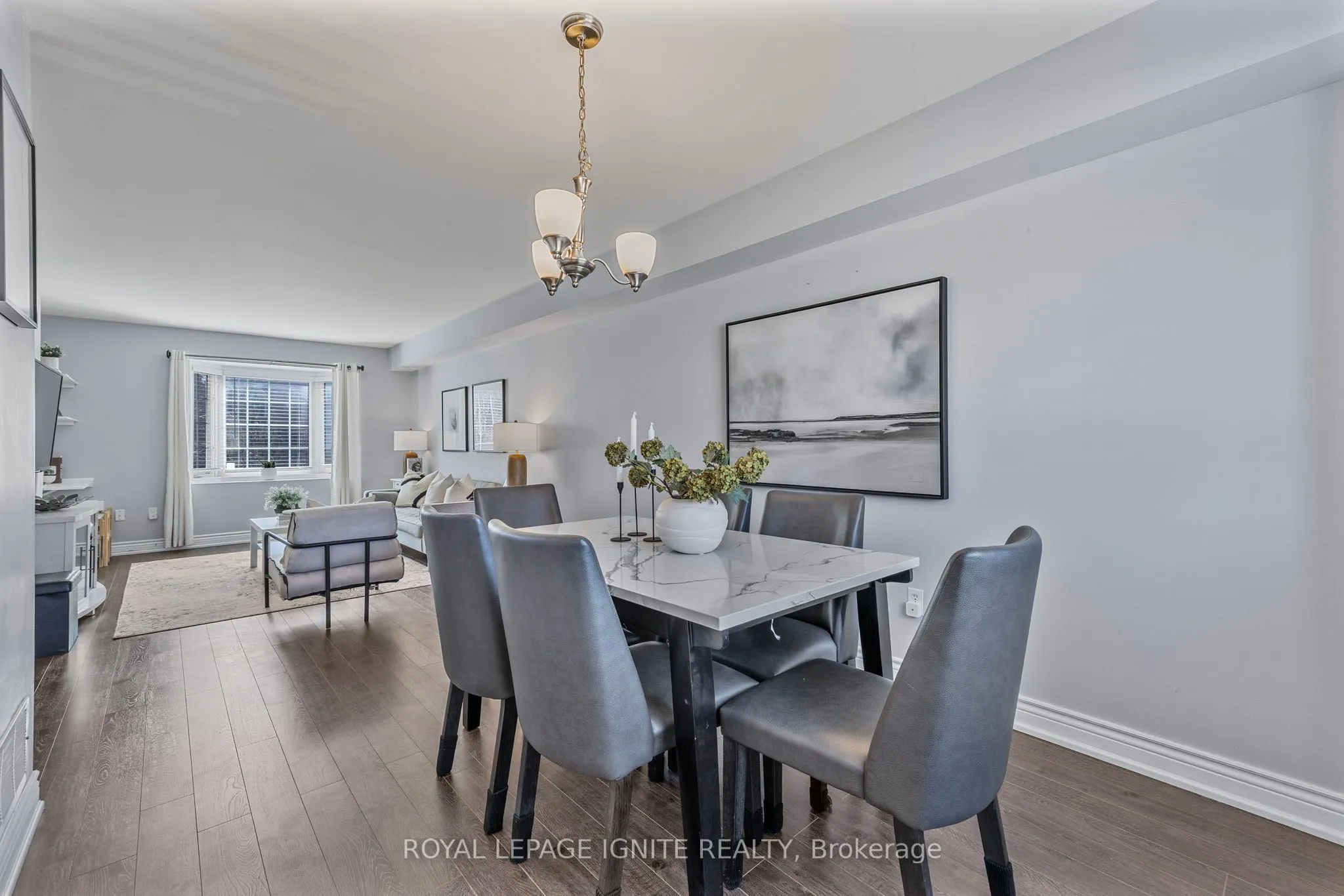 12 Eli Shackleton Court