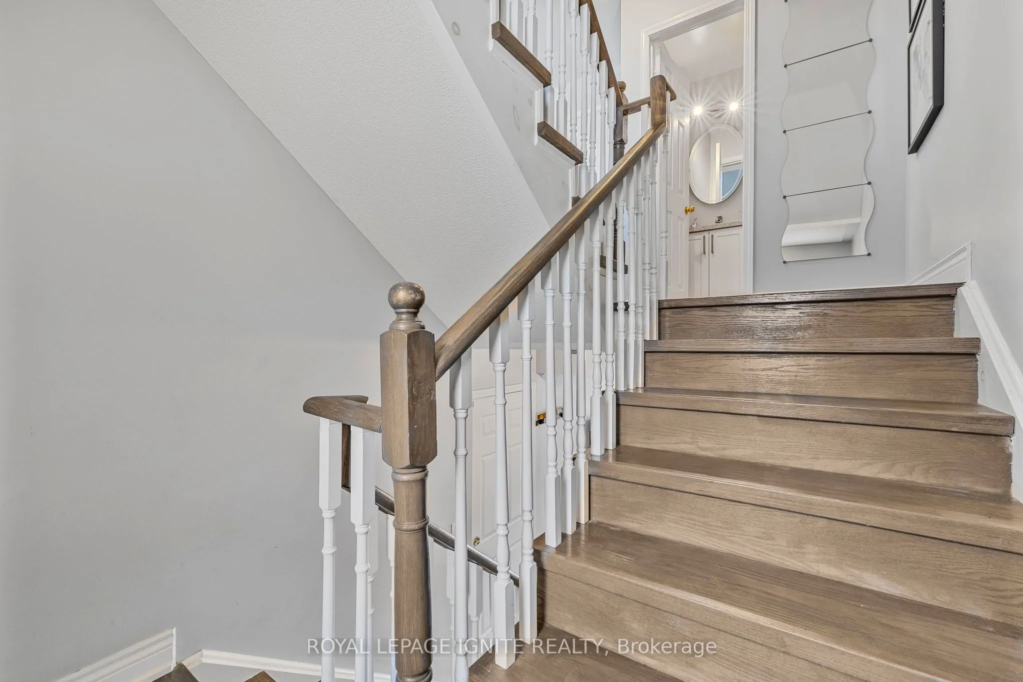 12 Eli Shackleton Court