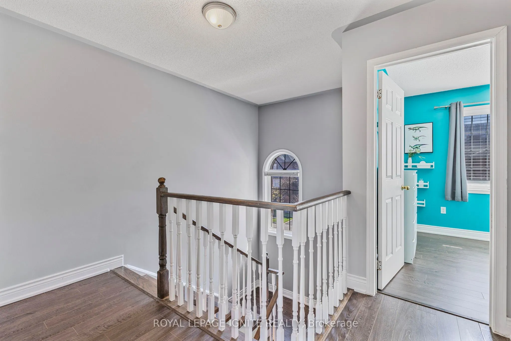 12 Eli Shackleton Court