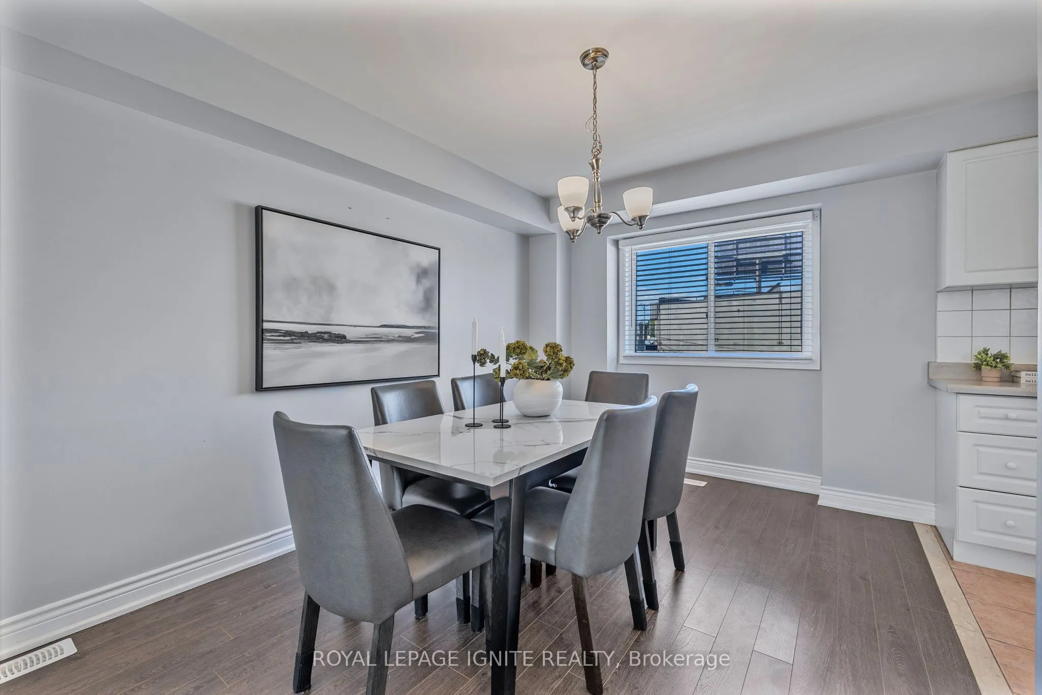 12 Eli Shackleton Court