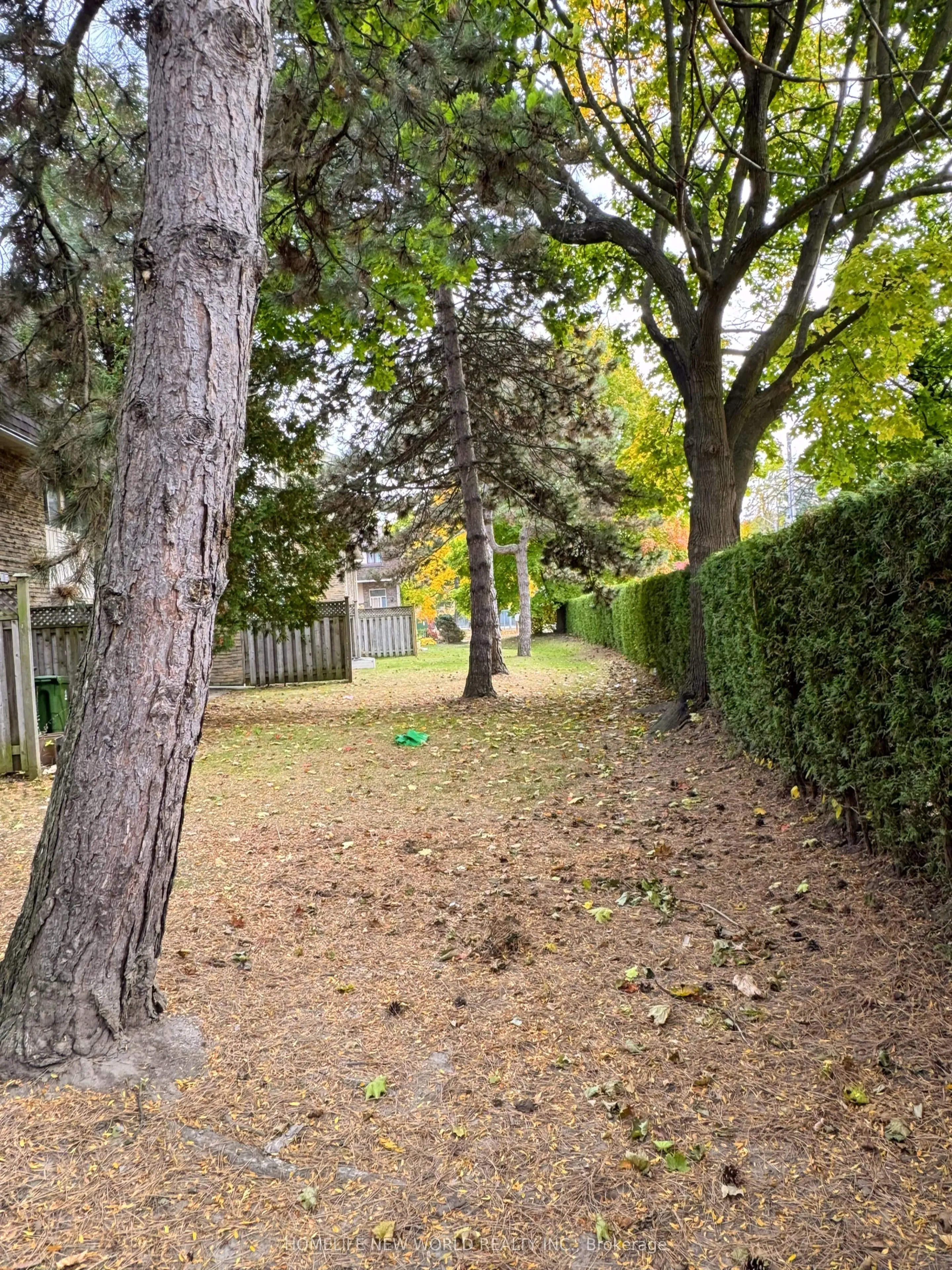 371 Orton Park Road
