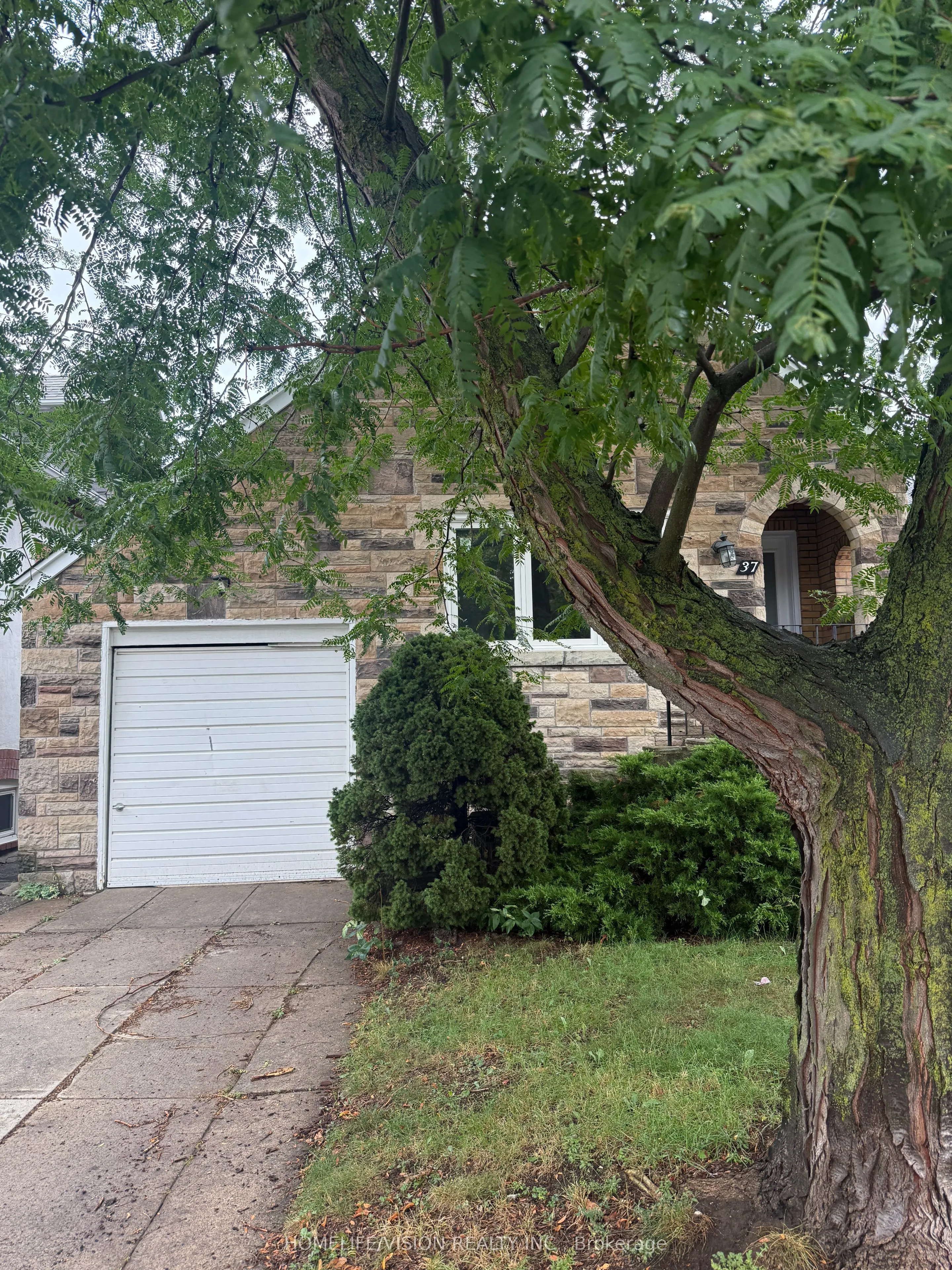 37 Wolverton Avenue